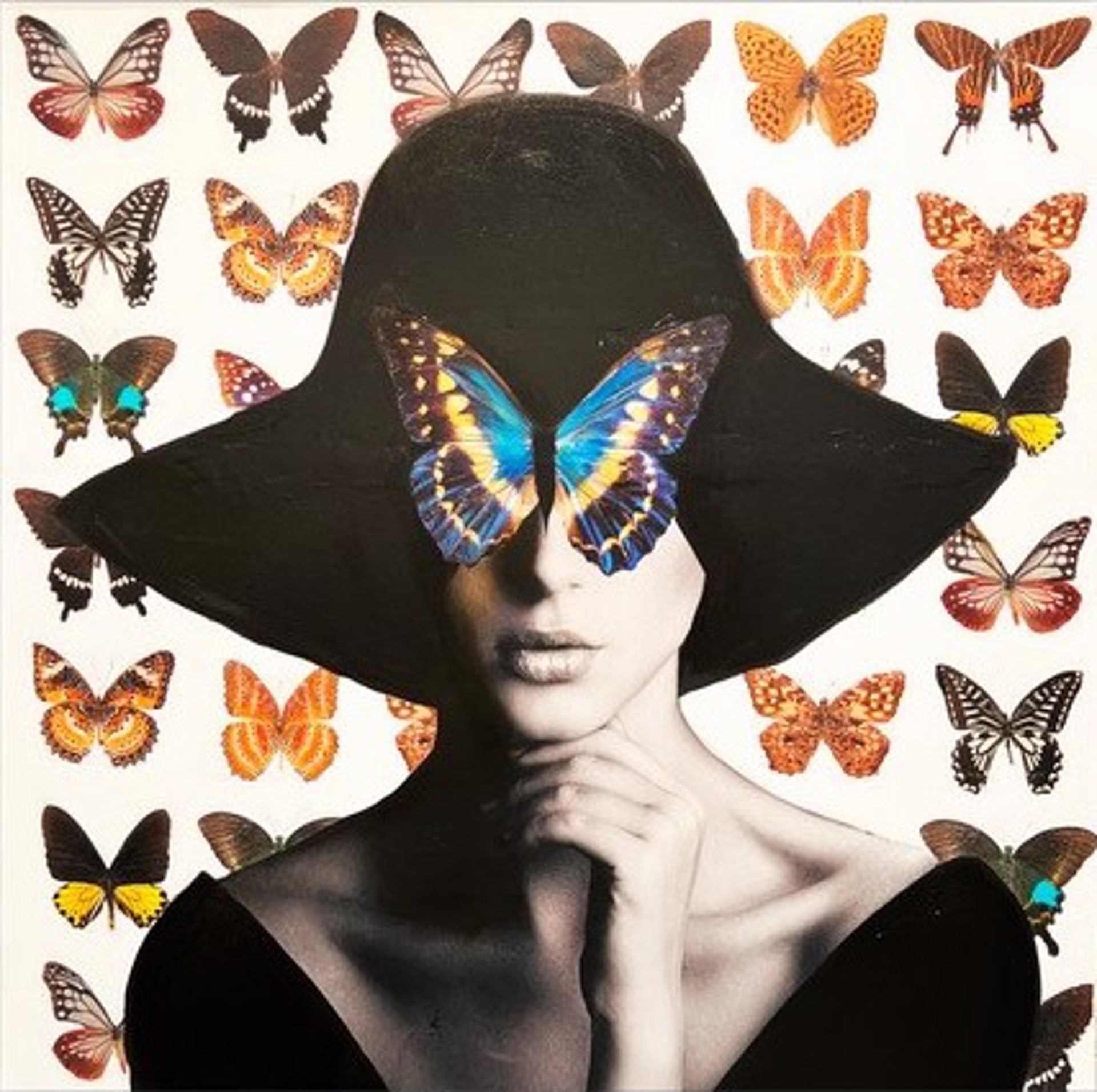 Madame Butterfly by Anke Schofield
