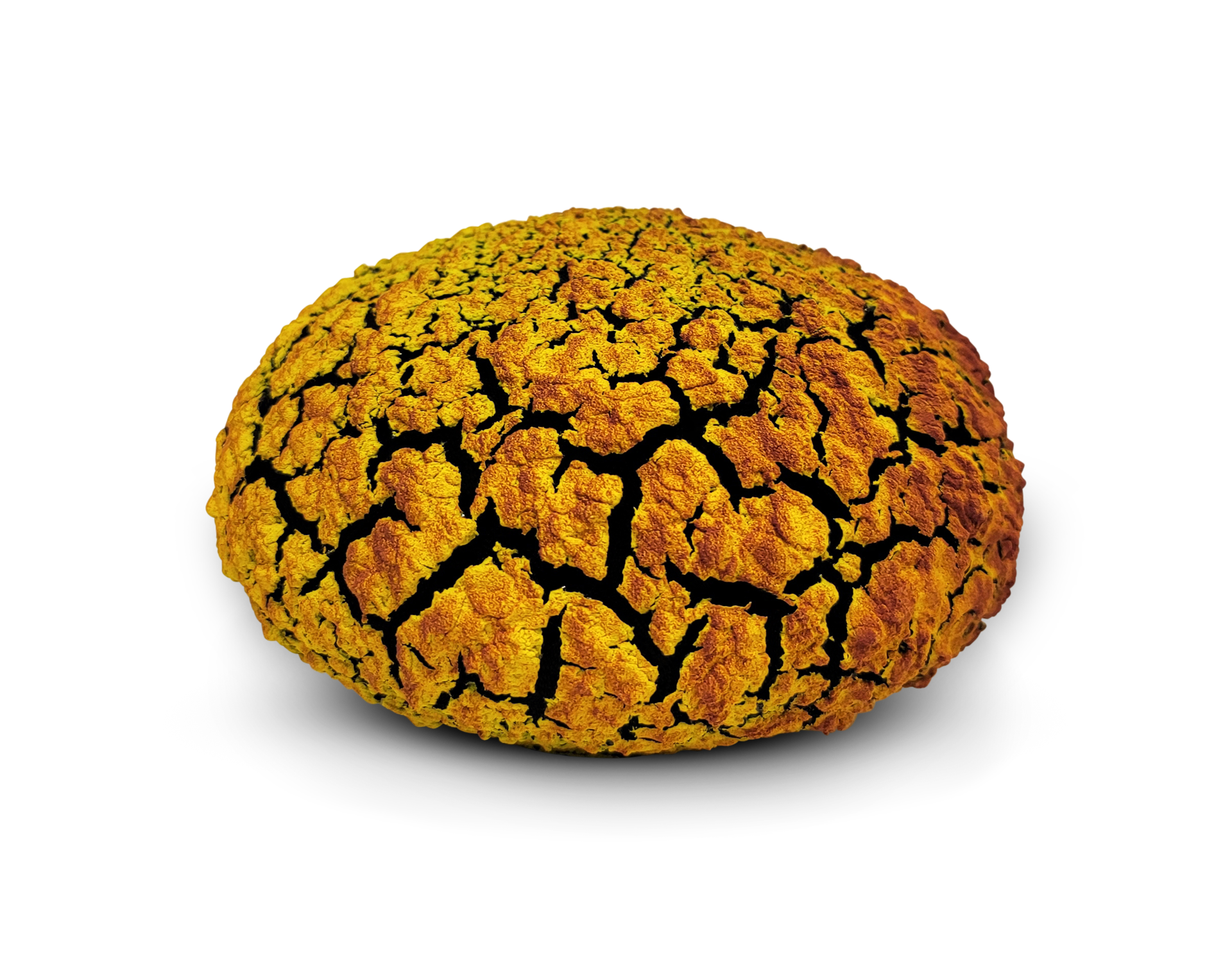 Urchin Vessel ~ Yellow/Blackberry by Randy O'Brien
