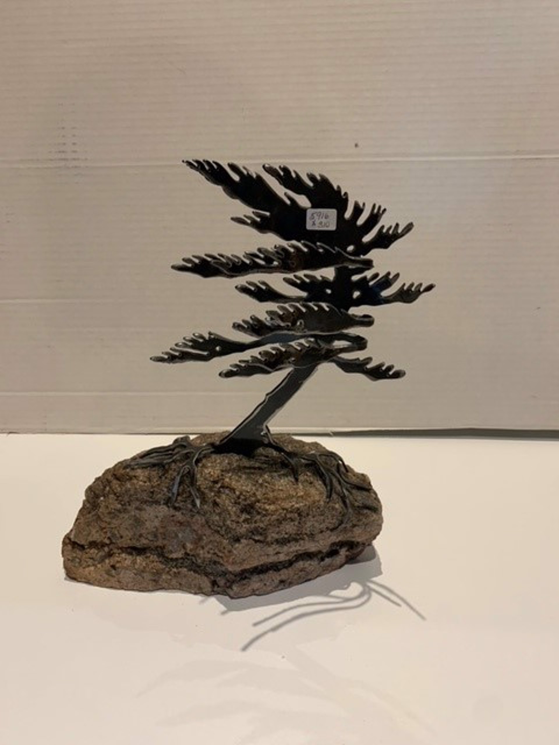 Windswept Pine 5916 by Cathy Mark