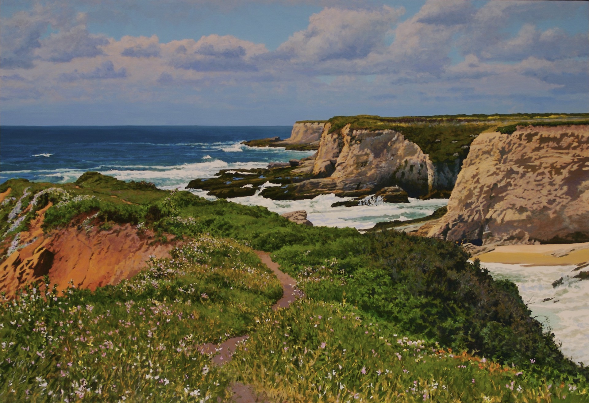 North Coast with Wildflowers by Peter Loftus