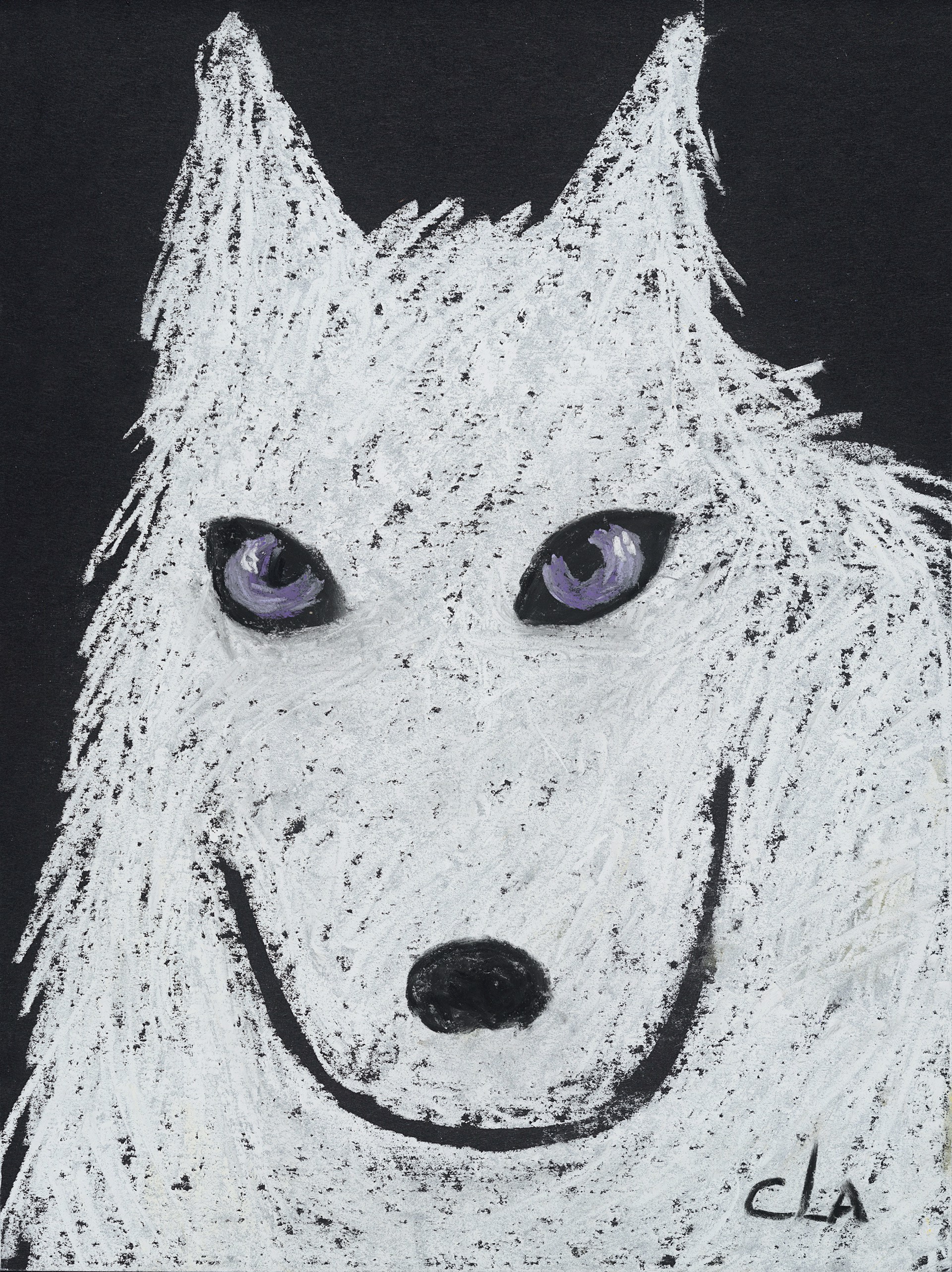 Young Wolves: Ghost by Carole LaRoche
