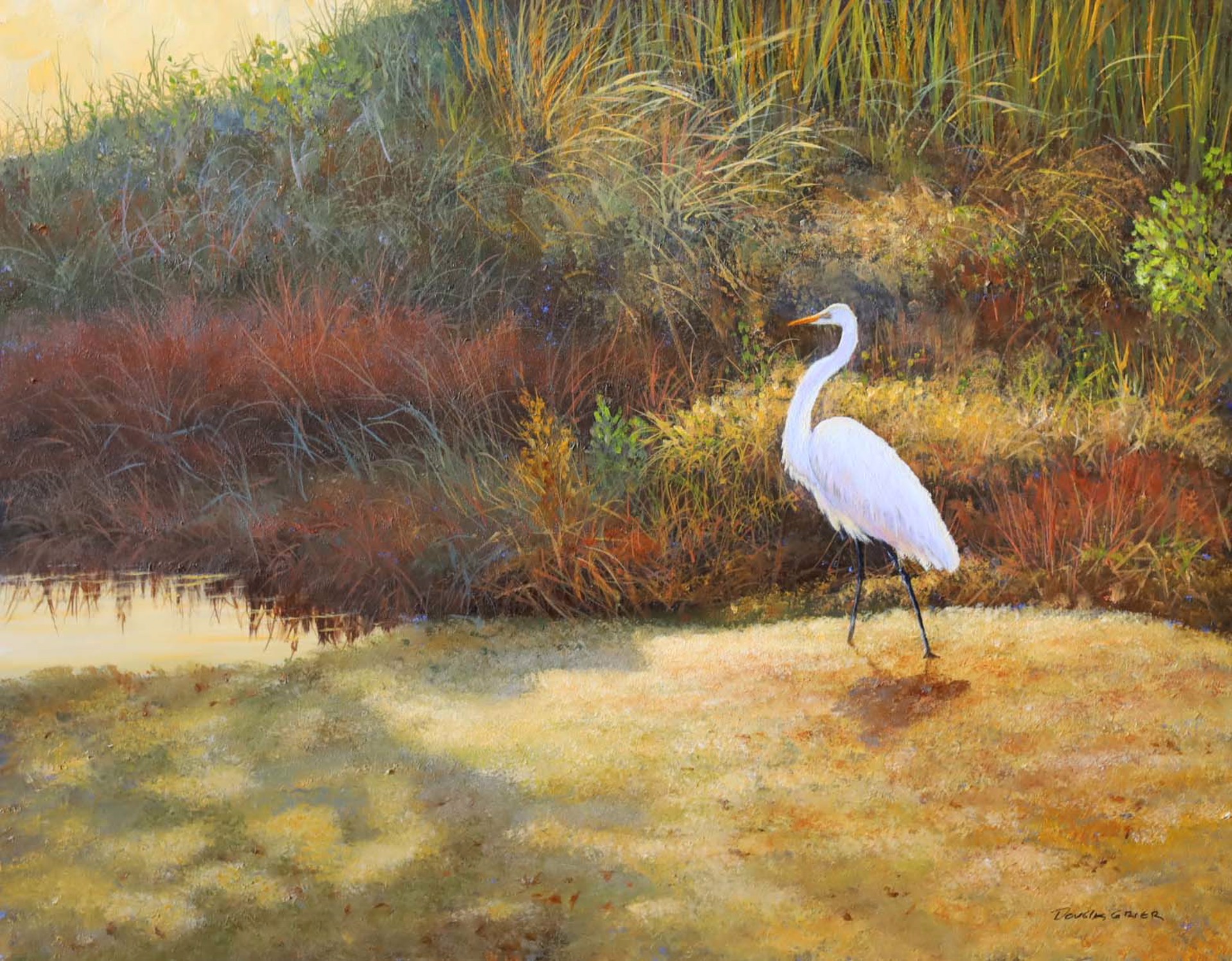 Edge of the Marsh by Douglas Grier