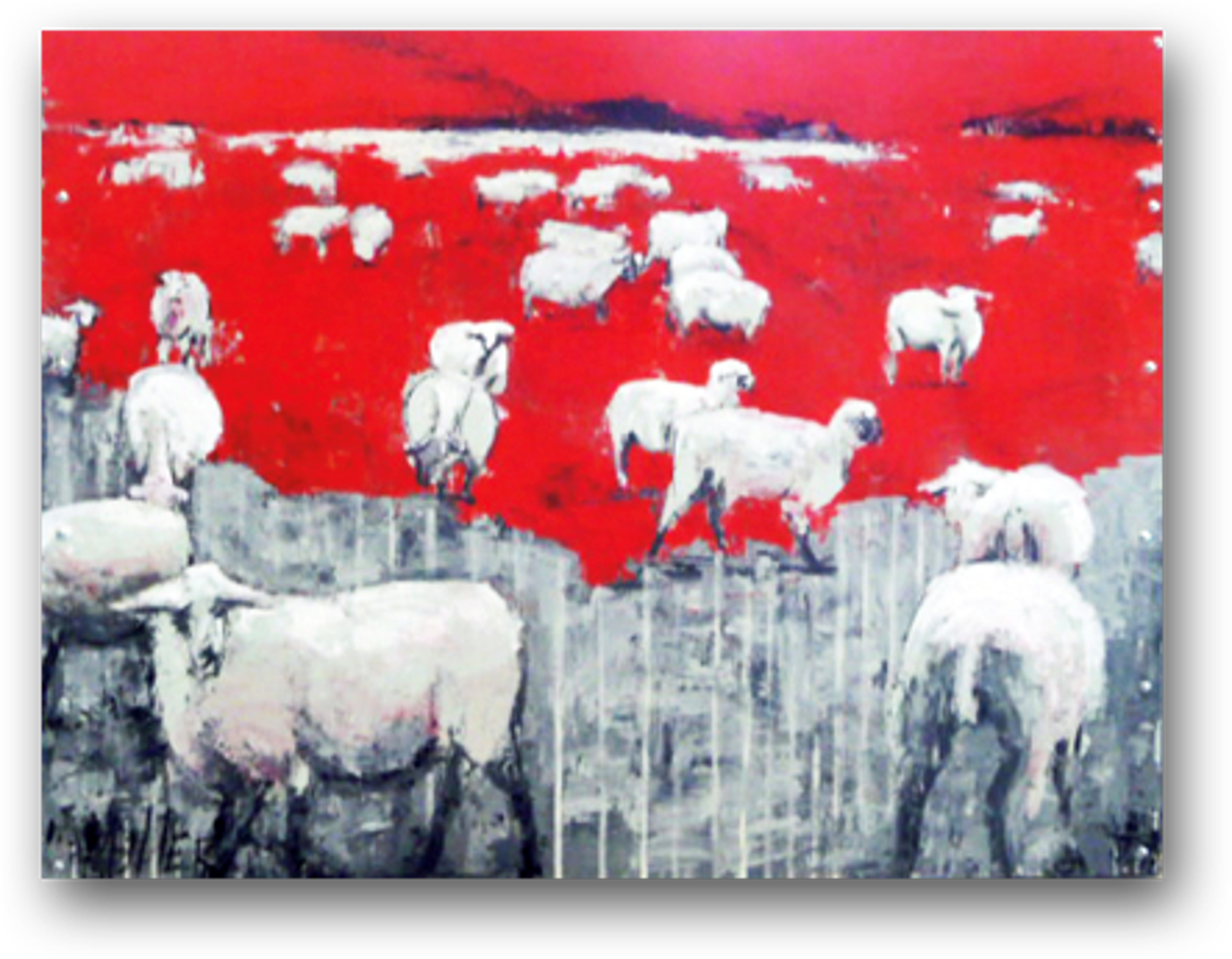 Sheepish by Laura Miller