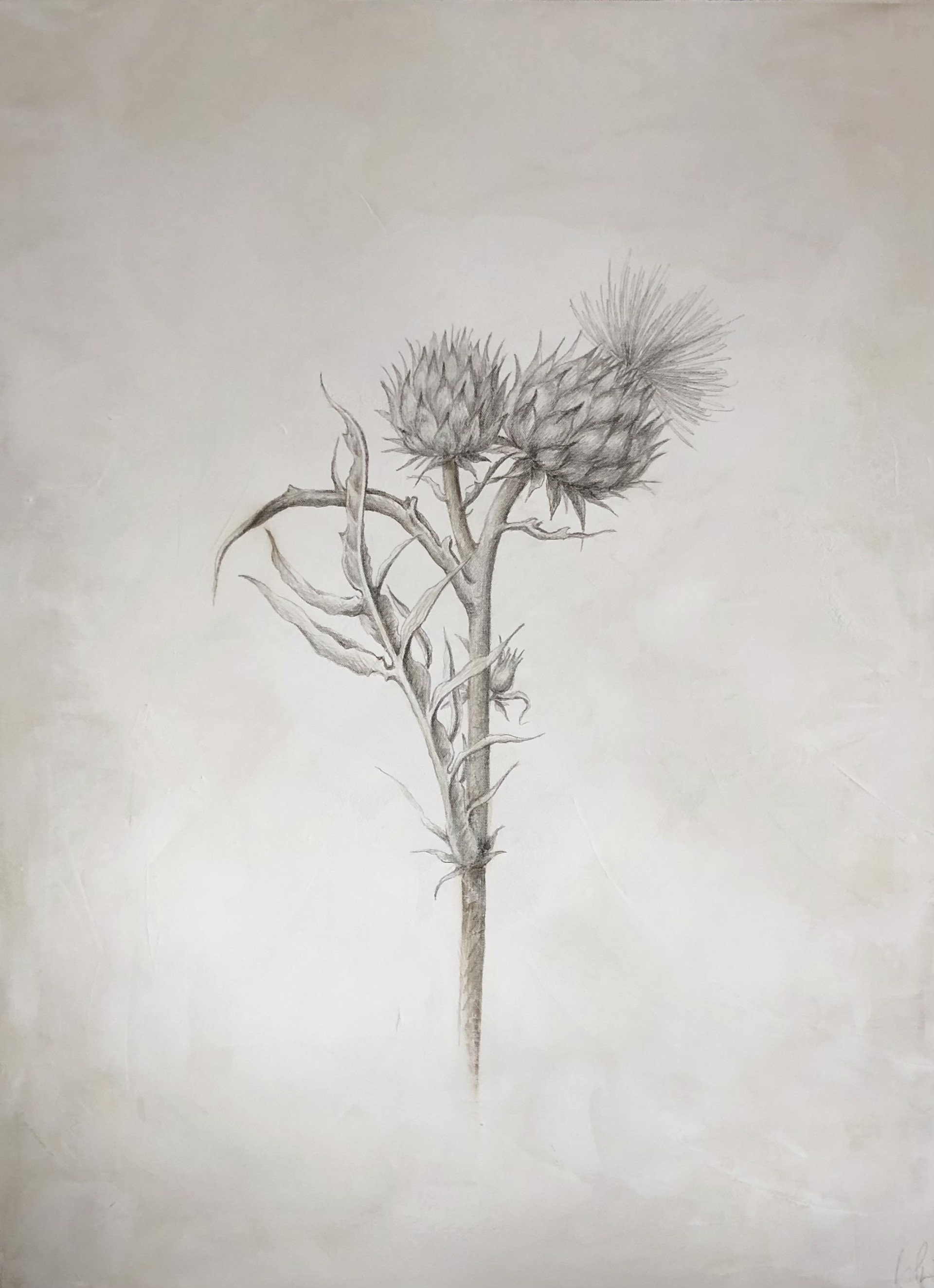 THISTLE by Jennifer La Pierre