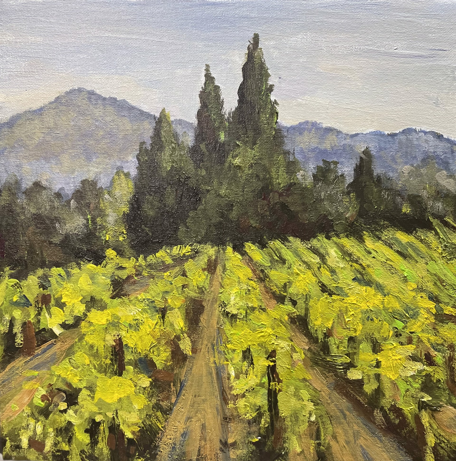 Vineyard by Laura Surace