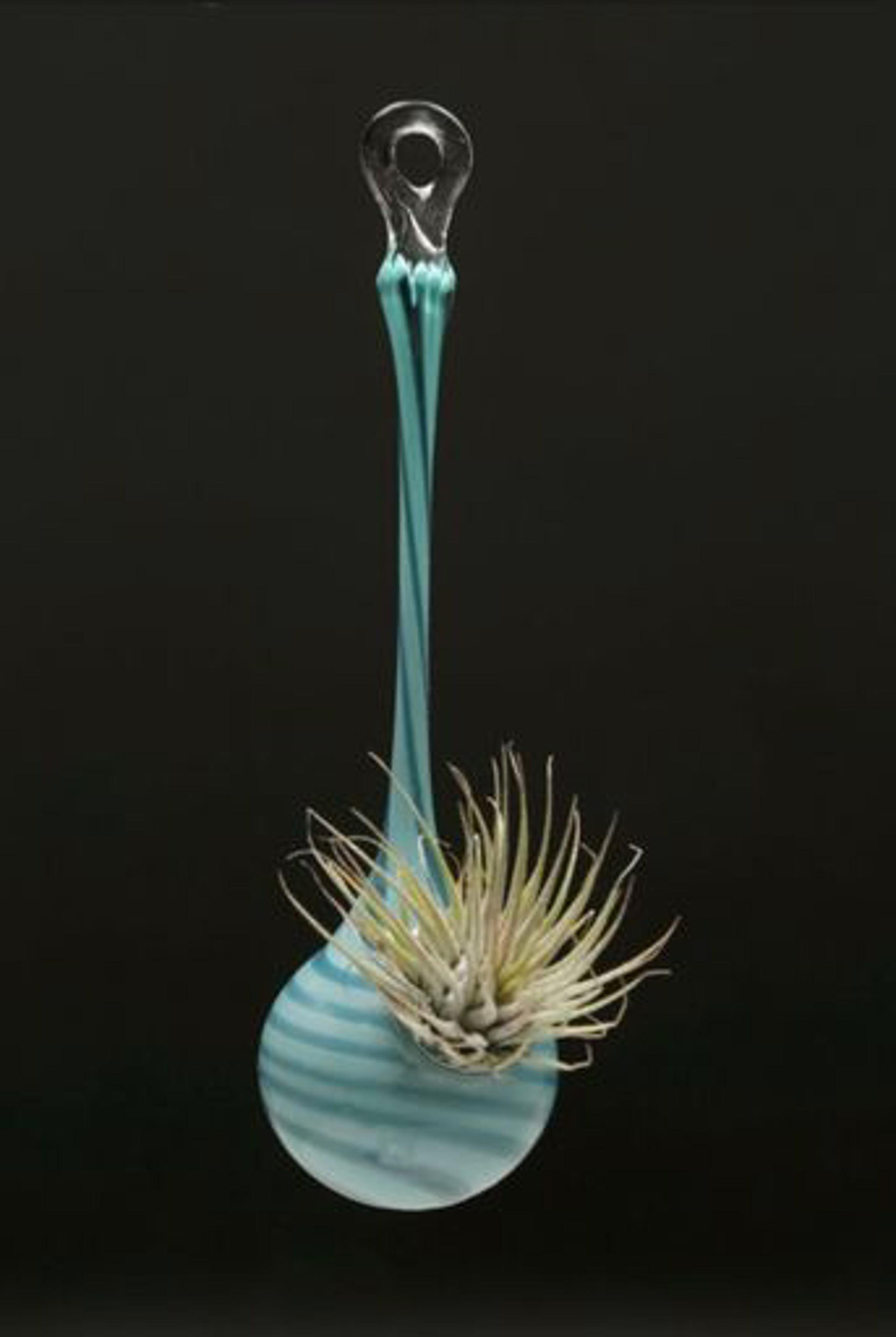 Space Vase Window Air Plant (Several Colors) by Jason Probstein