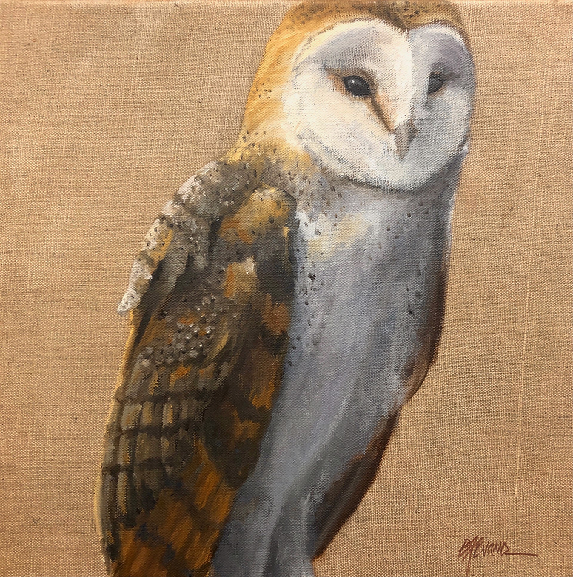 Barn Owl by Beverly Ford Evans