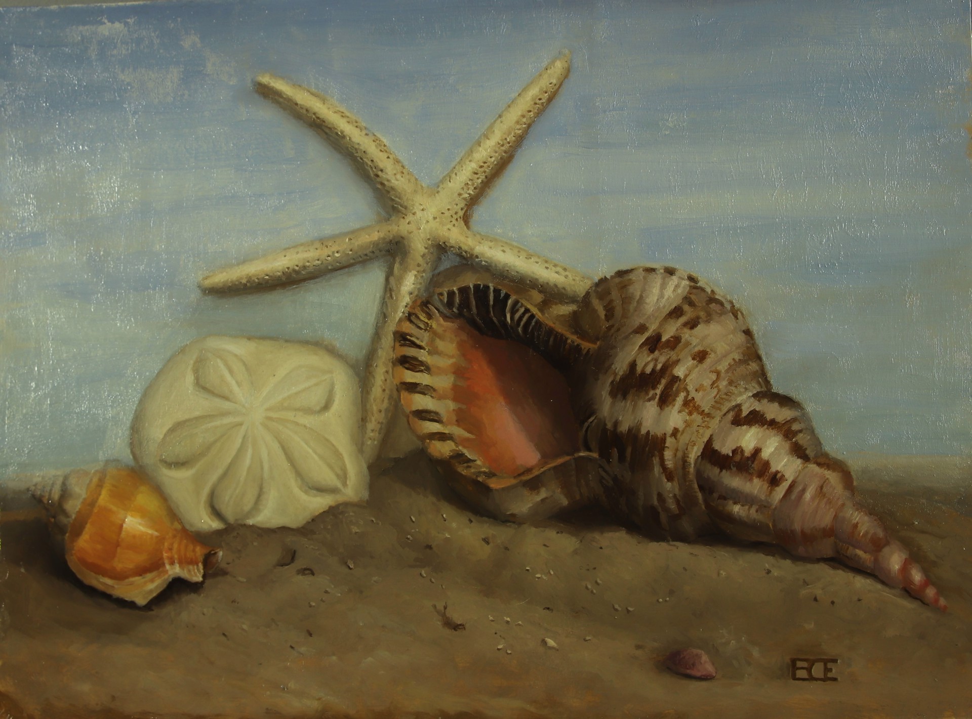 Shells & Sand by Barbara Efchak