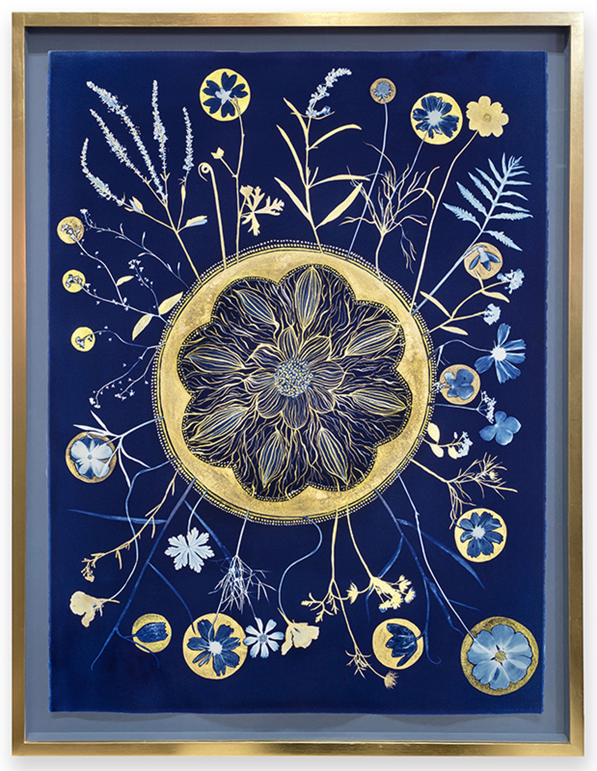 Cyanotype Painting (Gold Flora Full Circle) by Julia Whitney Barnes