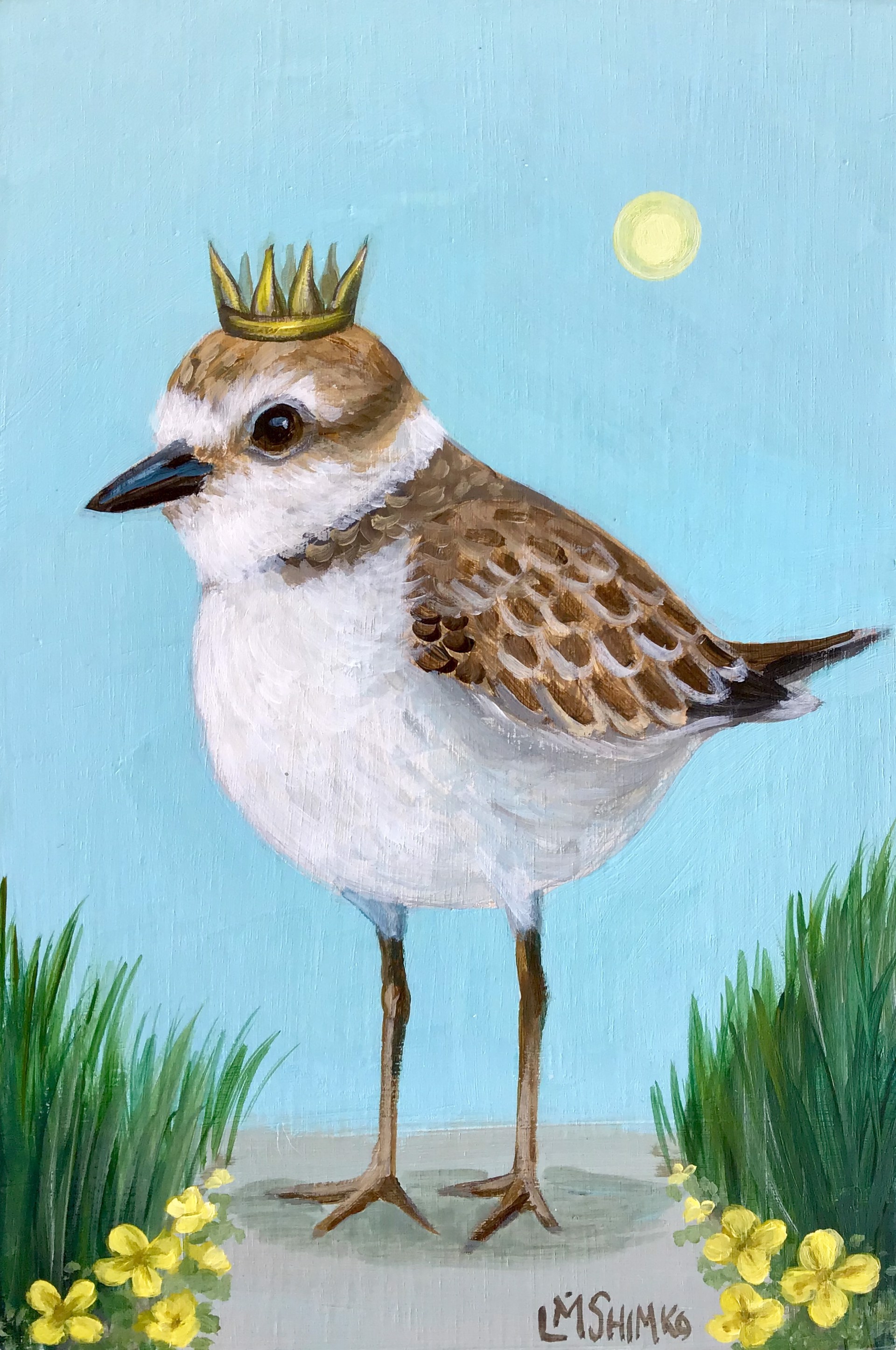 Snowy Plover King I by Lisa Shimko