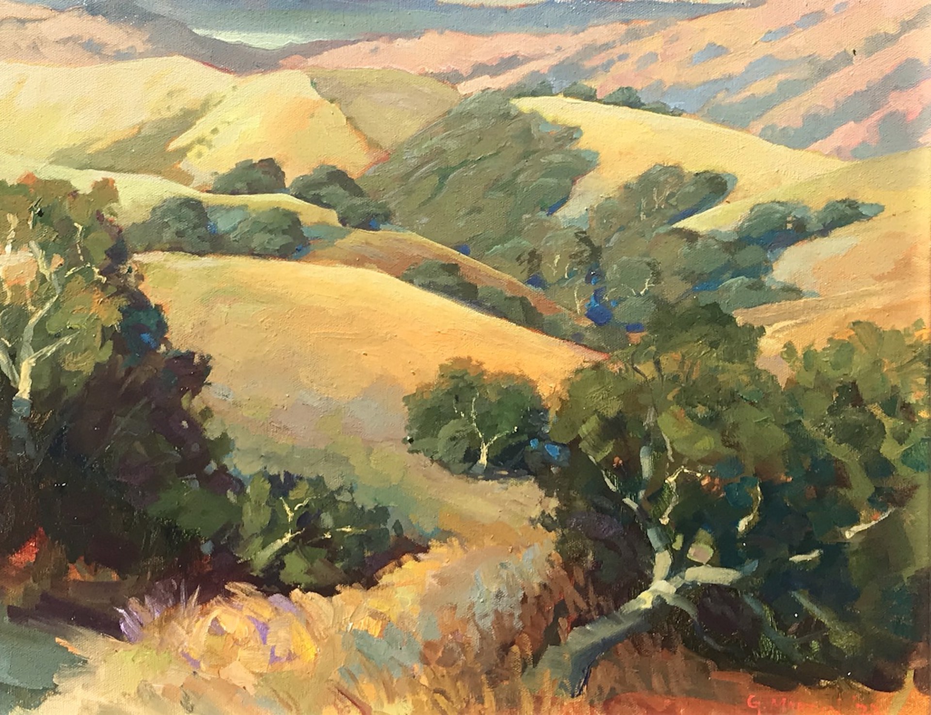 Looking East from Laguna Seca by Gerard Martin
