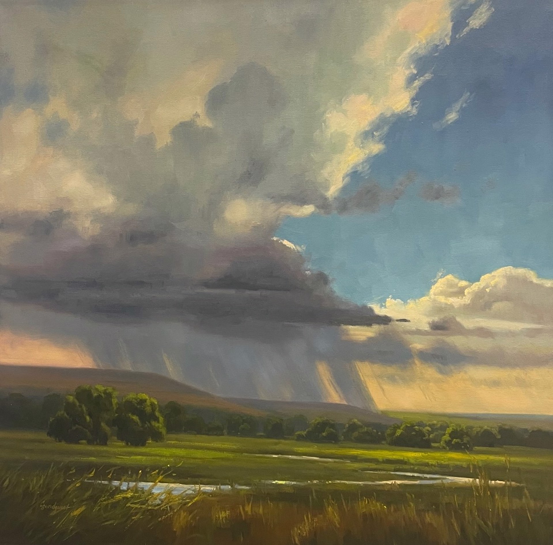 Kansas Shower & Light by Cristine Sundquist