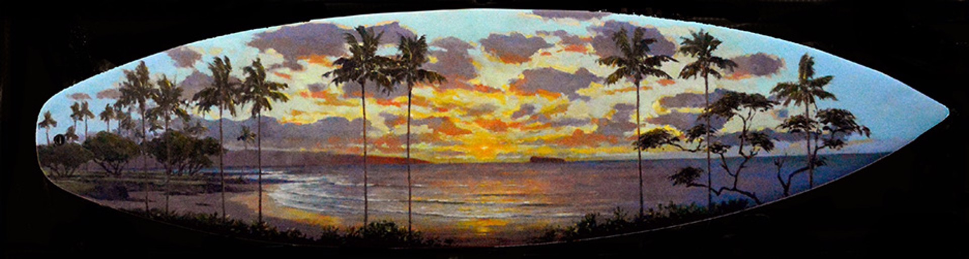 Surfboards - SOLD by Commission Possibilities / Previously Sold ZX