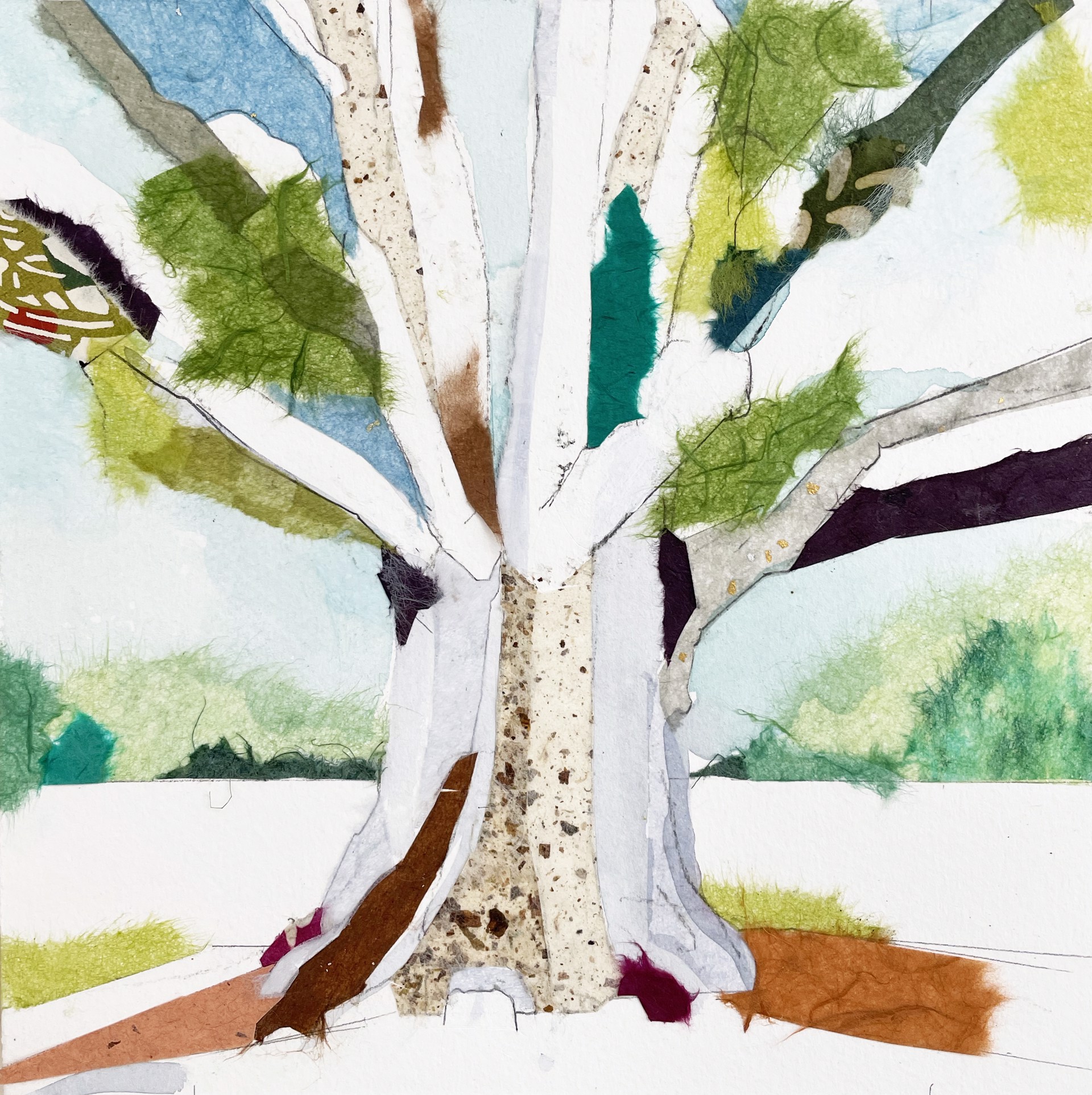 Sonoma Eucalyptus by Jill Lear