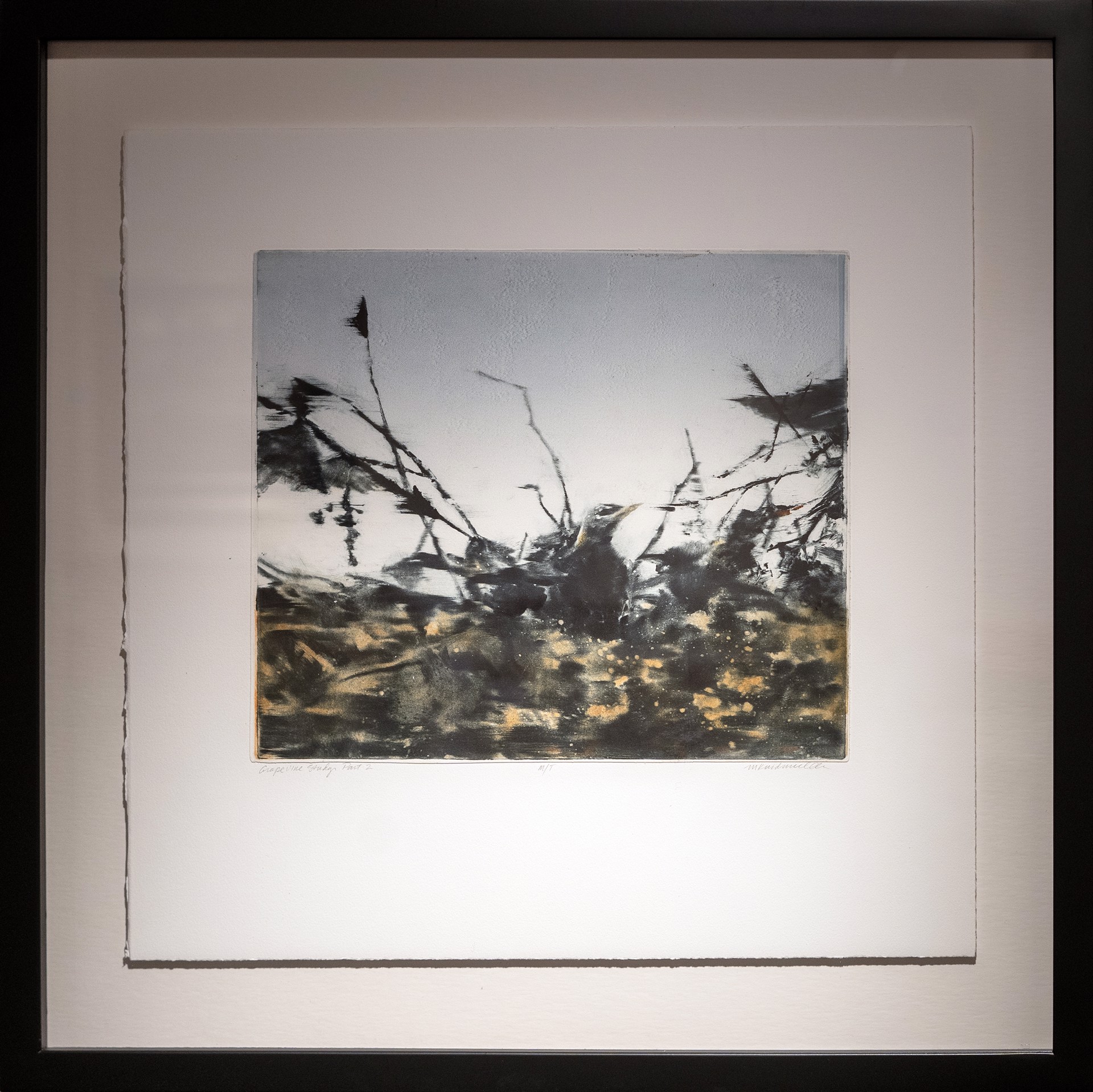 Grapevine Series, Part 2 by Marilou Kundmueller