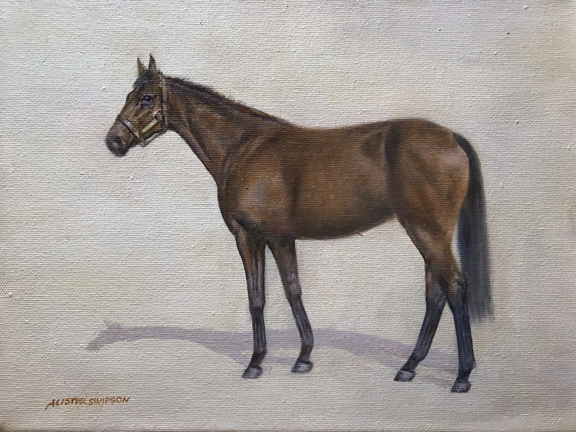 Brood Mare by Alister Simpson