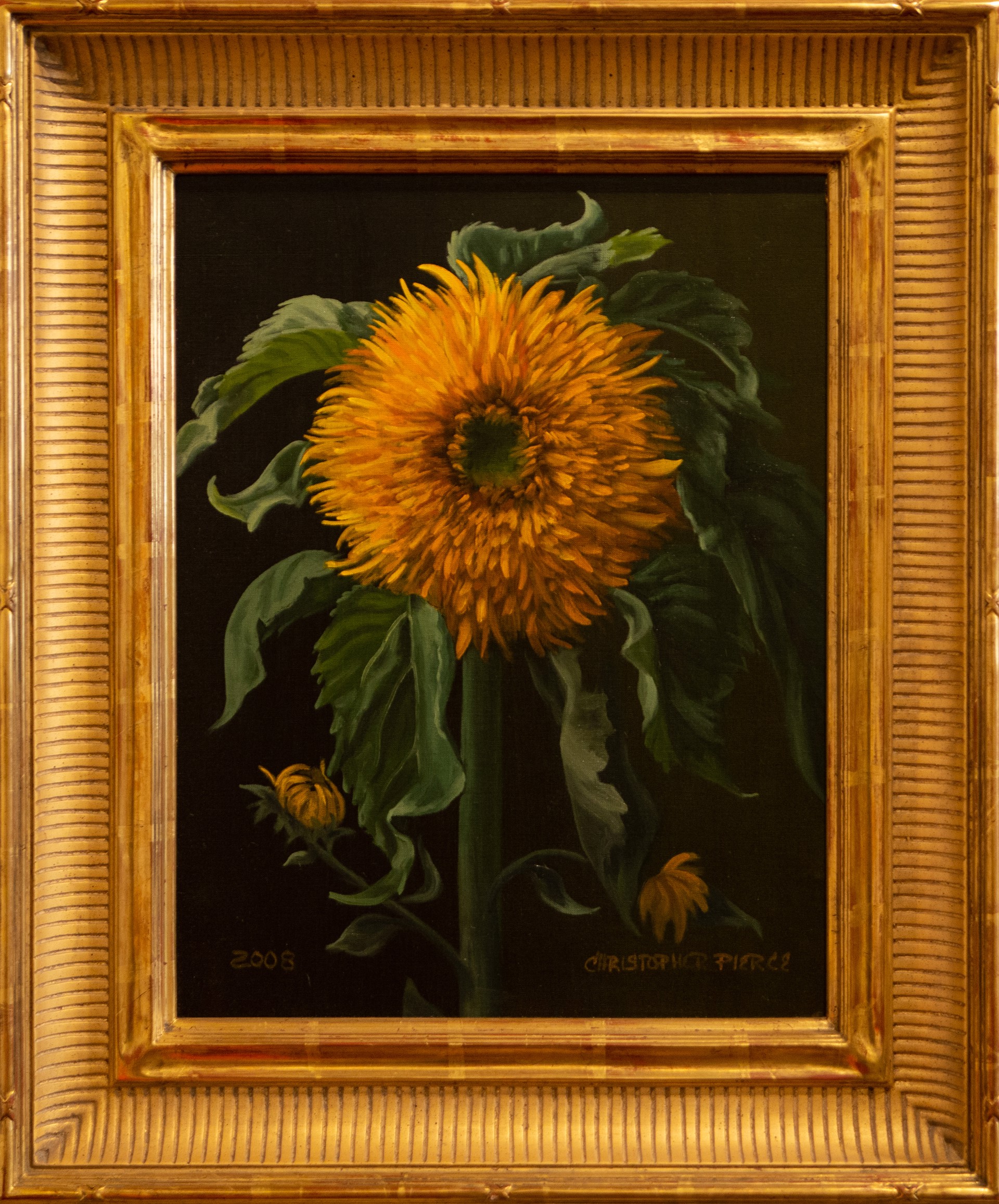 Double Sunflower by Christopher Pierce
