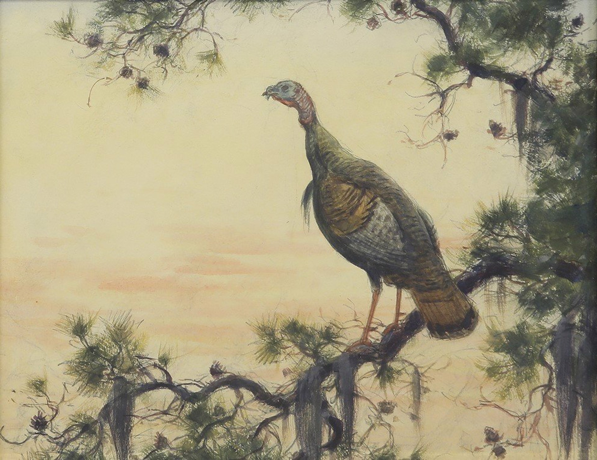 Turkey in the Pines by Aiden Lassell Ripley