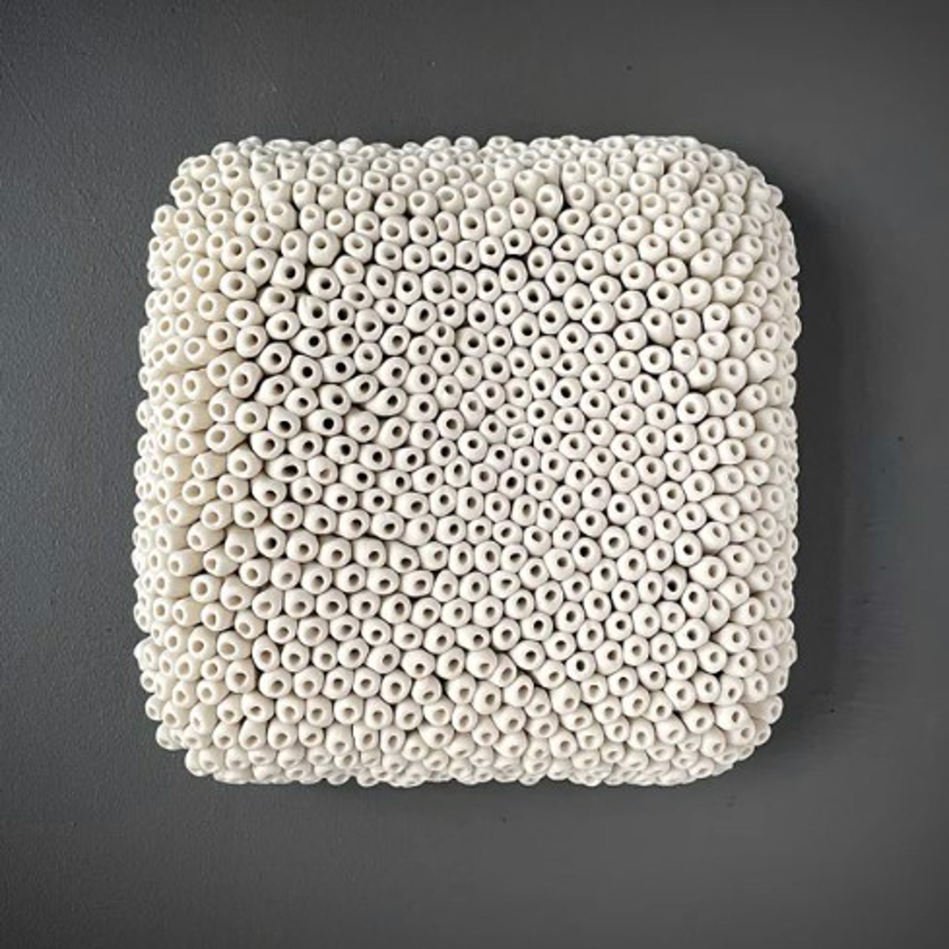 Lichen by Heather Knight
