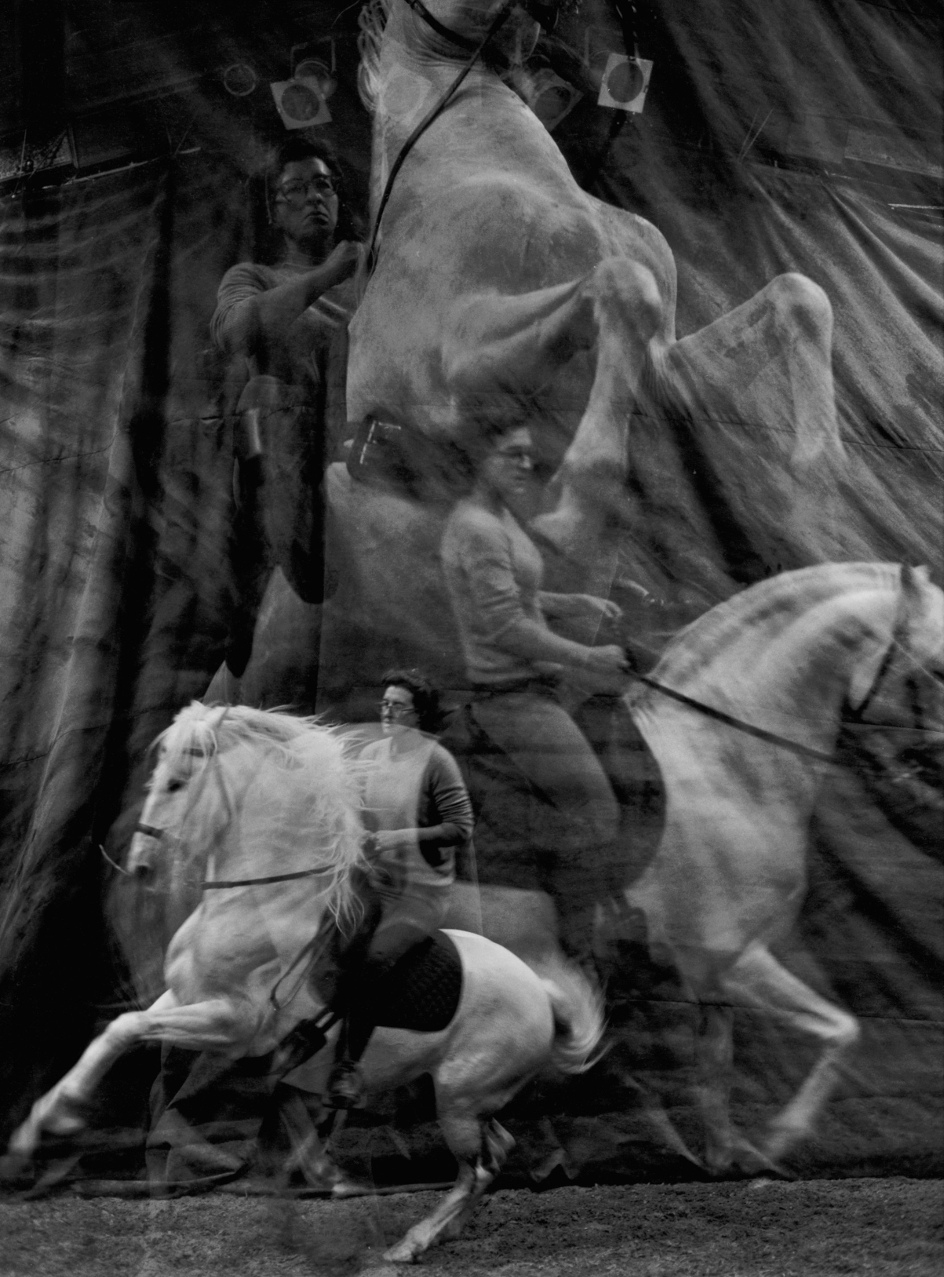 Horse Power by Constance Jaeggi