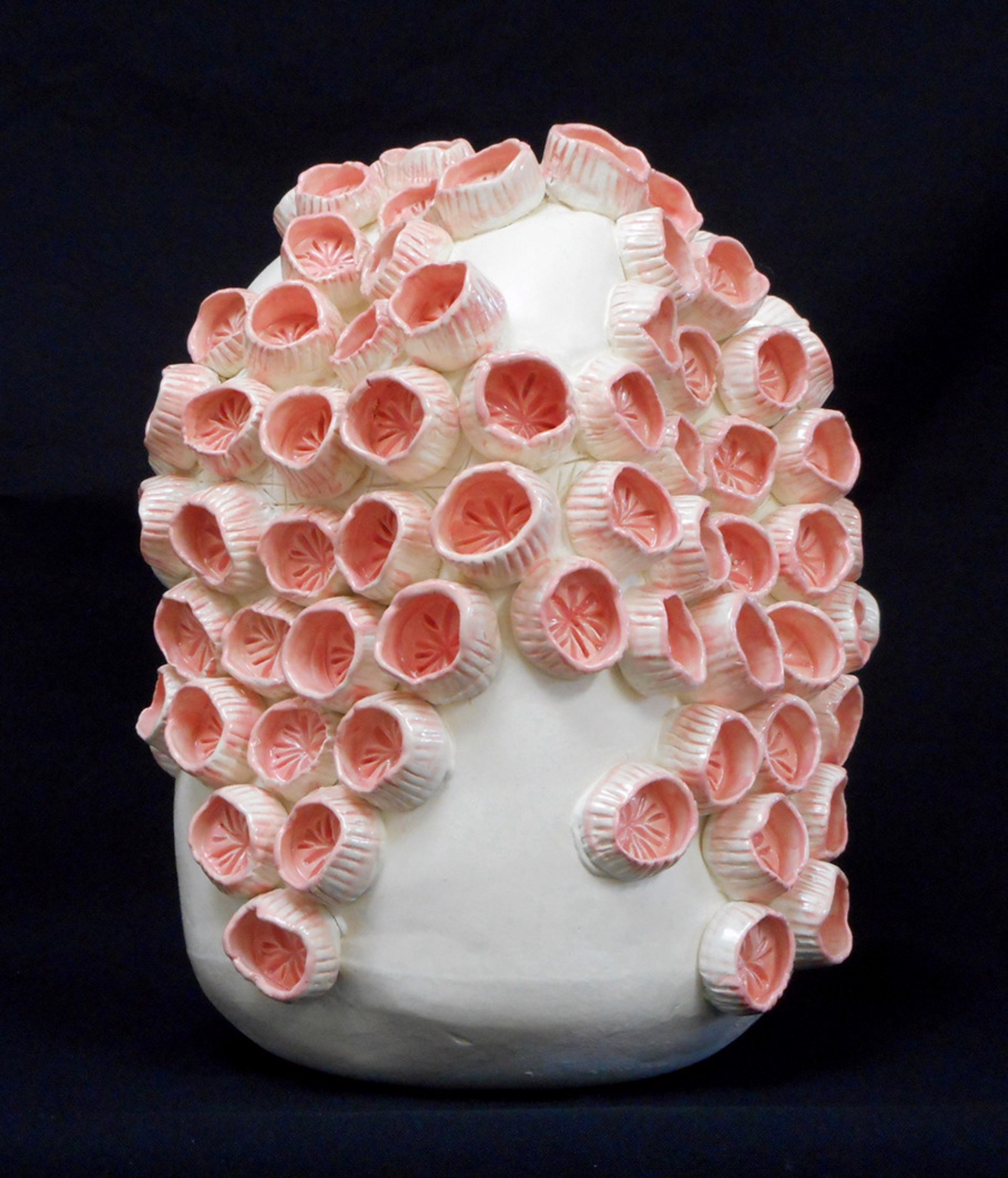 Coral XXII (coral cups) by Jane B Grimm