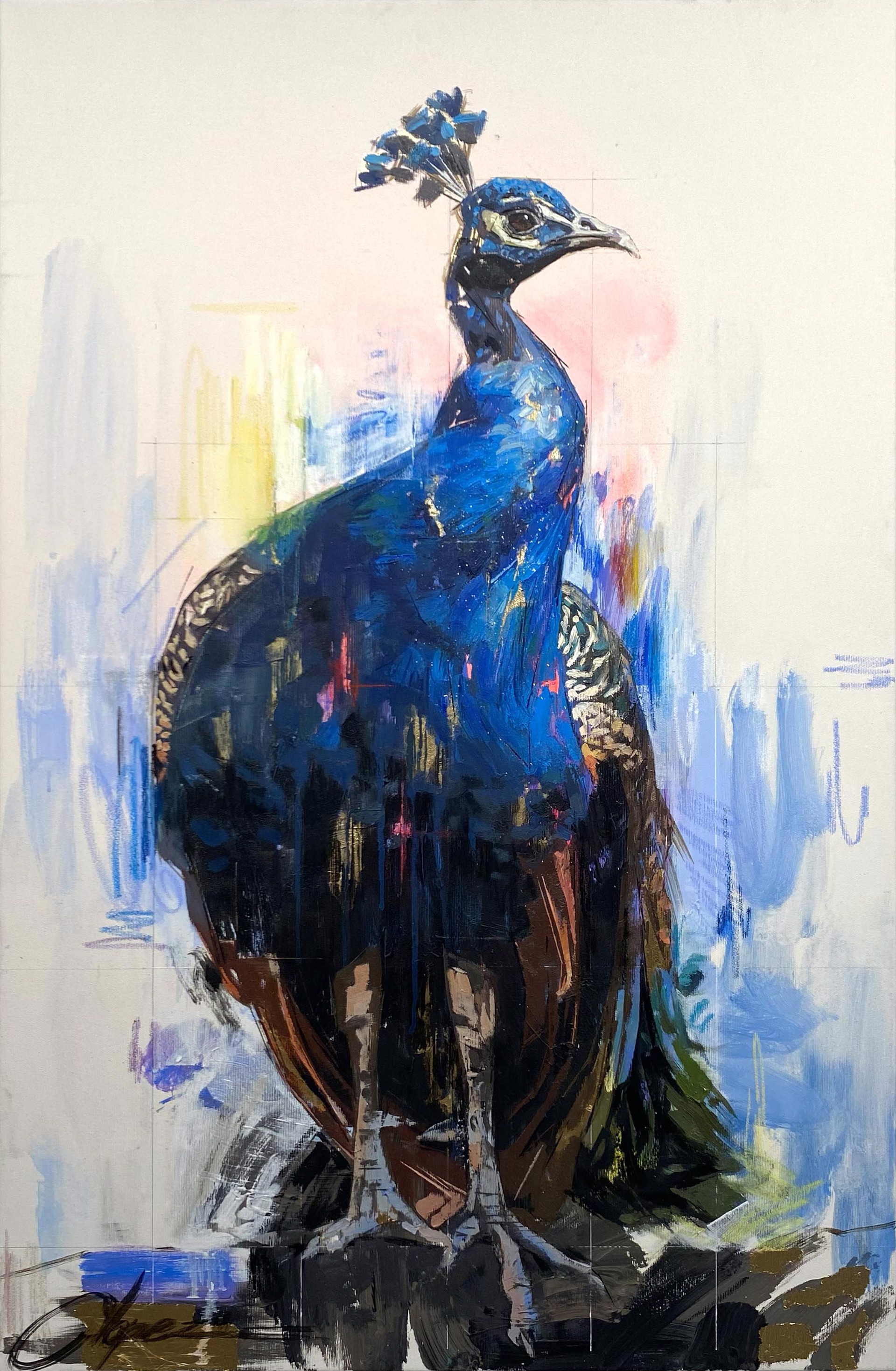 Peacock by Conrado López