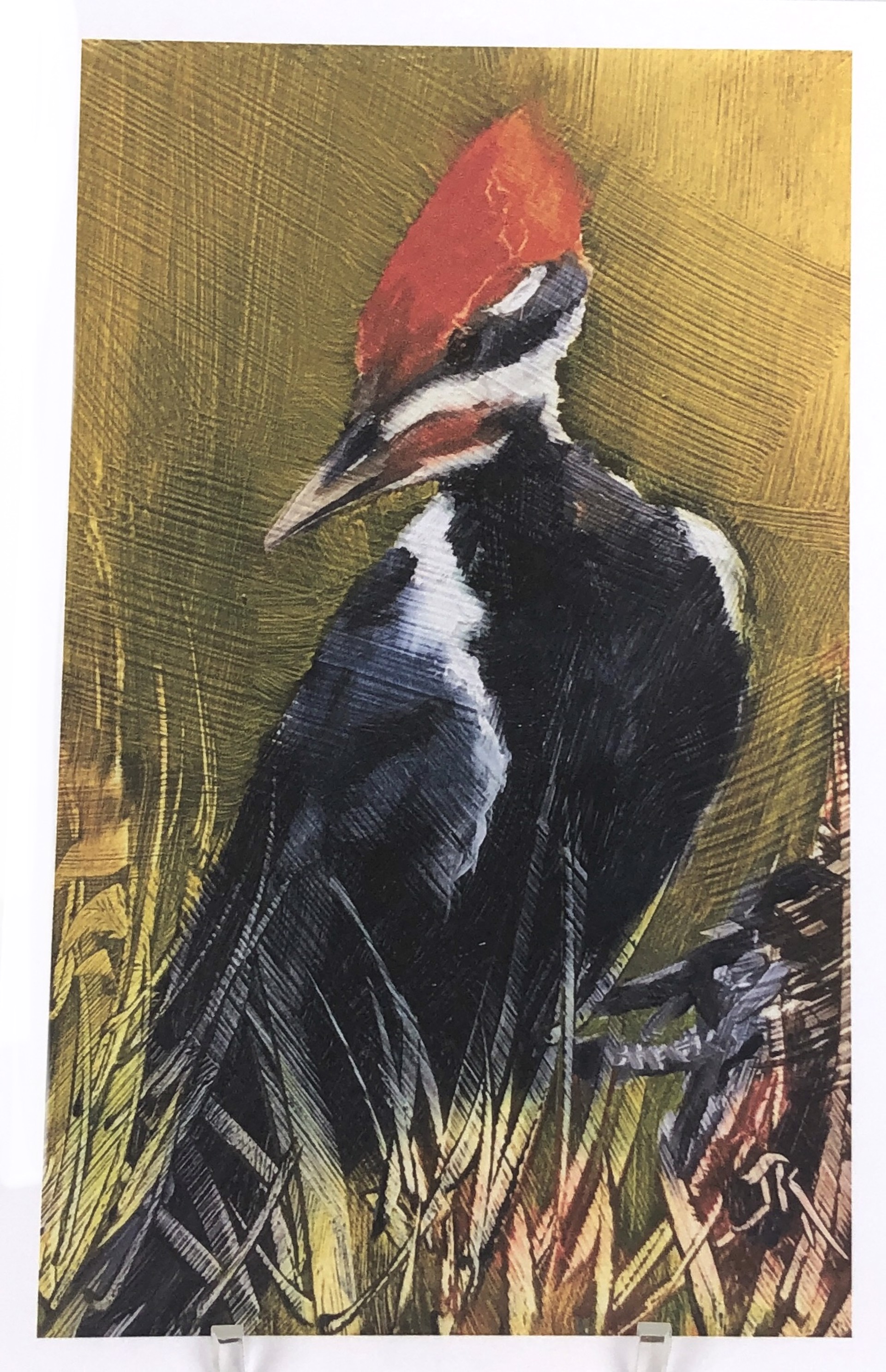Pleated Woodpecker Note Card by June Rollins