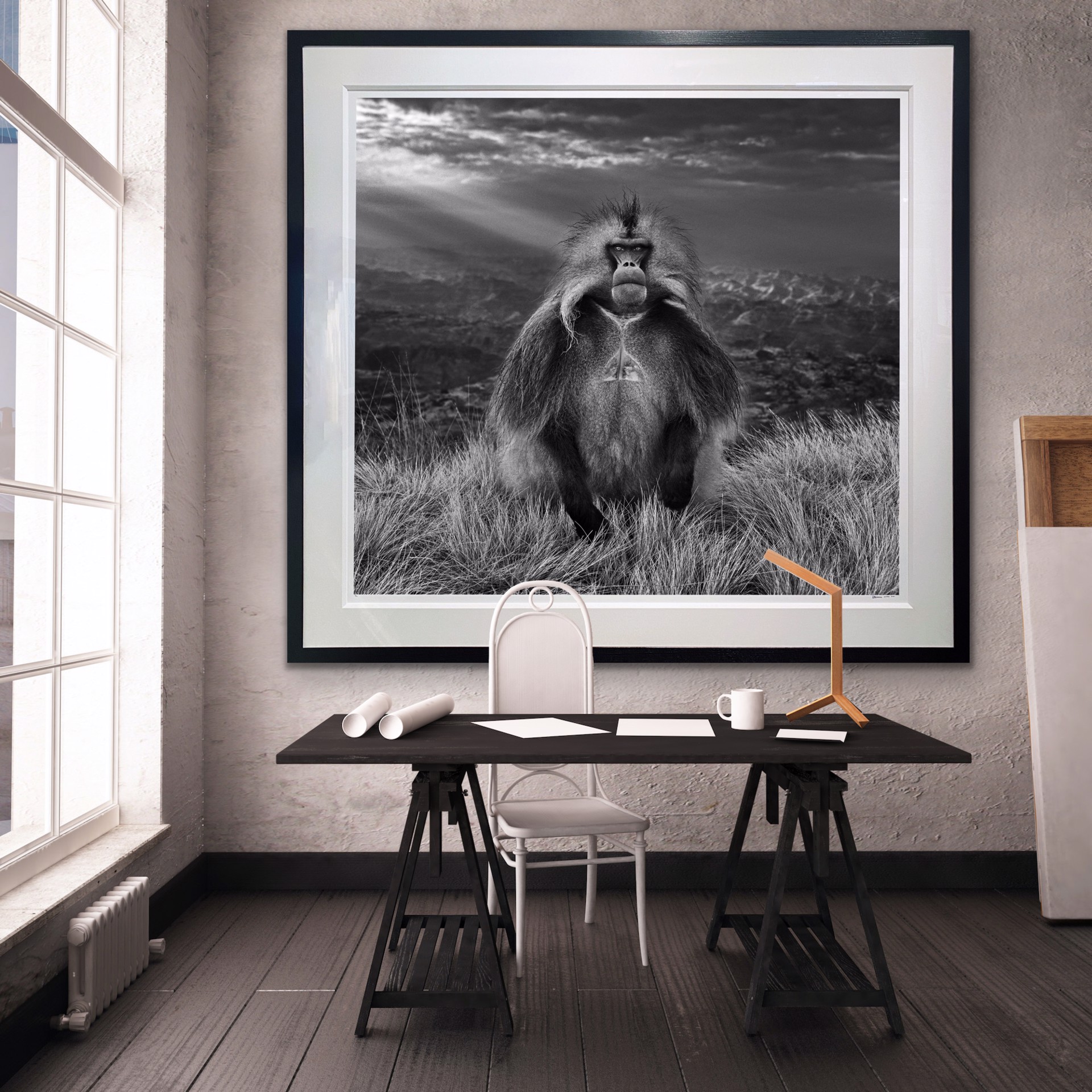 Members Only by David Yarrow