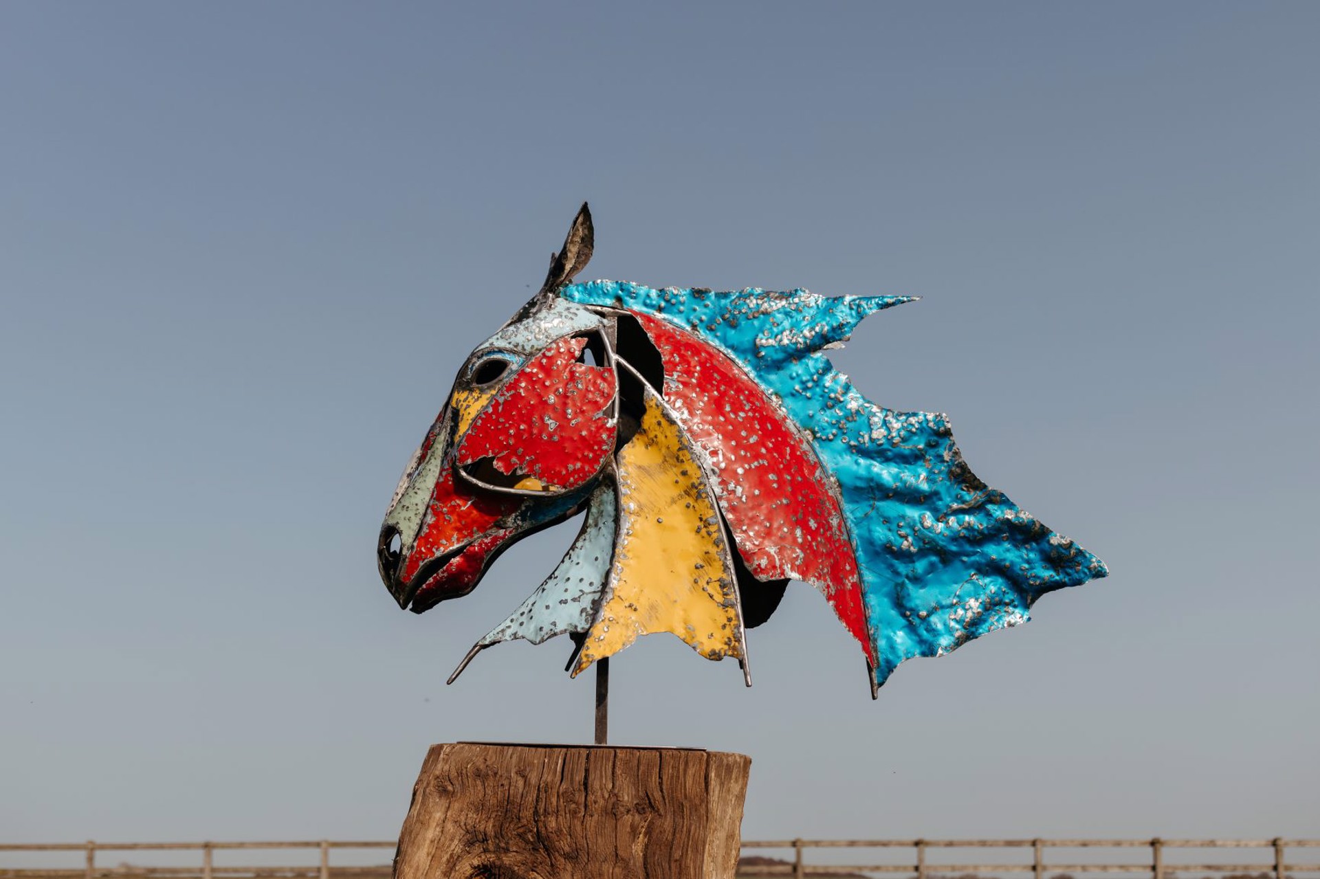 Carse Horse by Ollie Holman