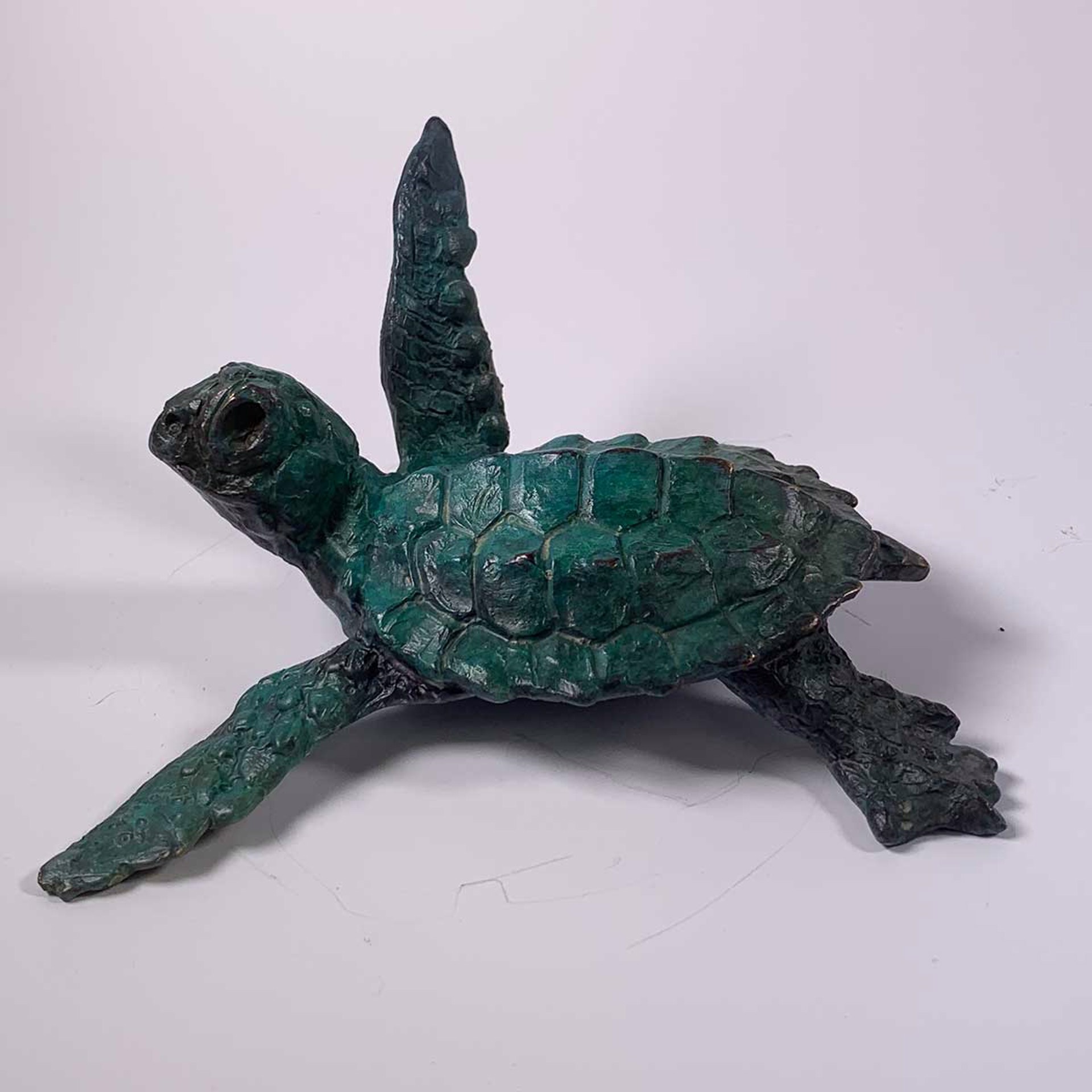 Sea Turtle E by Dan Chen