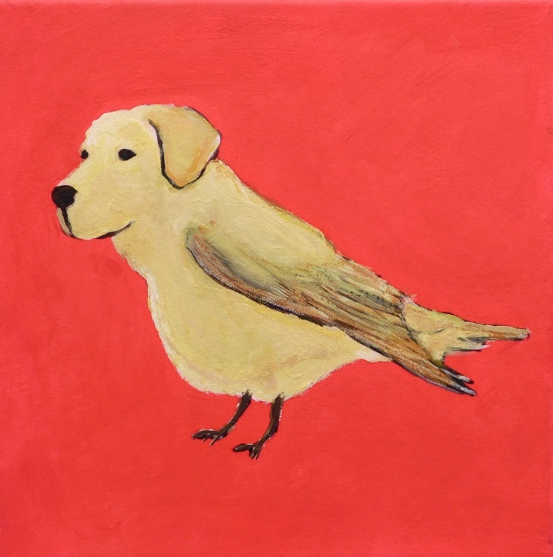 Bird Dog by Brian Leo