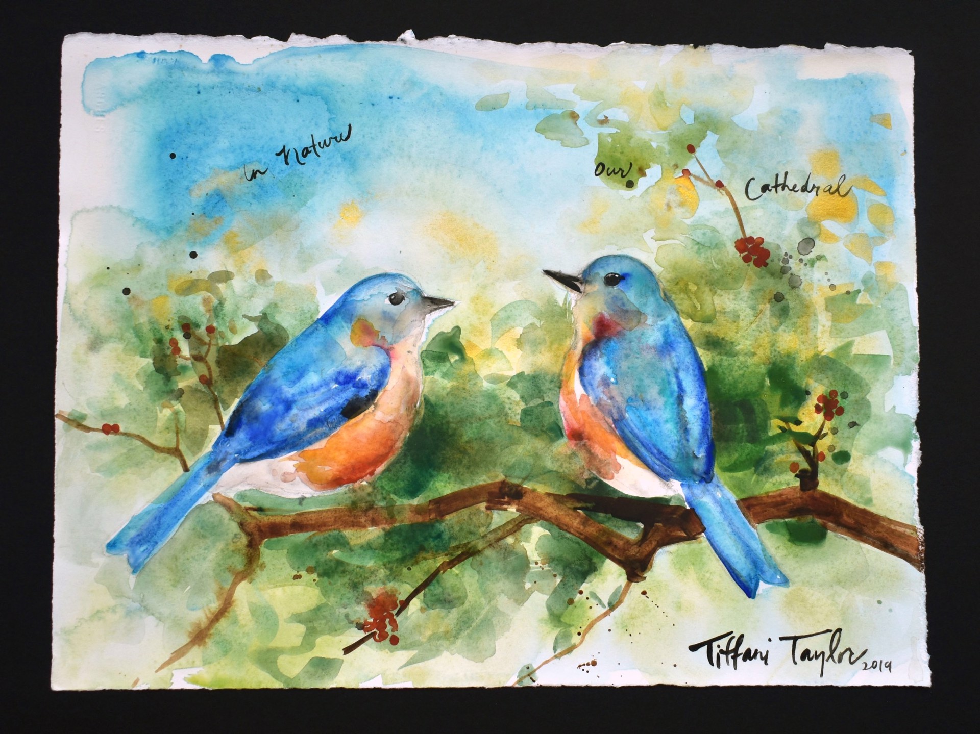 Bluebirds in Nature:  Our Cathedral... by Tiffani Taylor