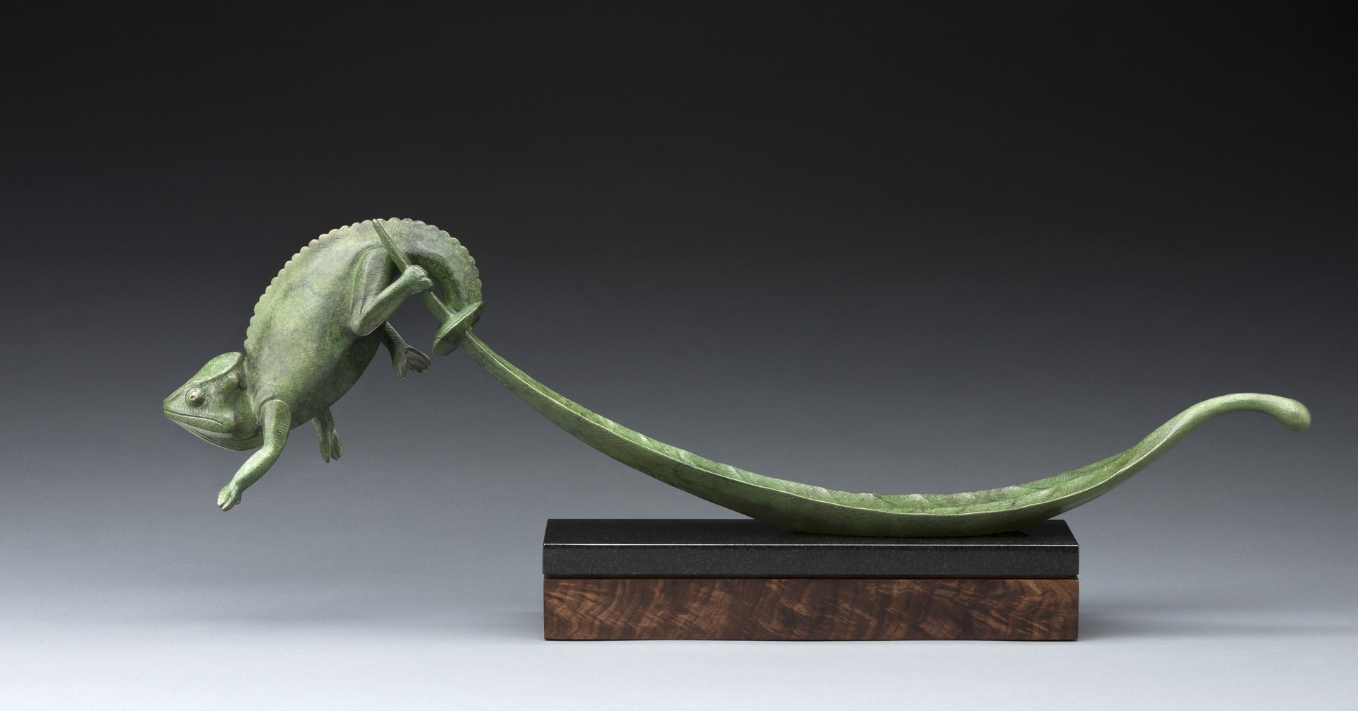 Chameleon and Leaf by Tony Hochstetler