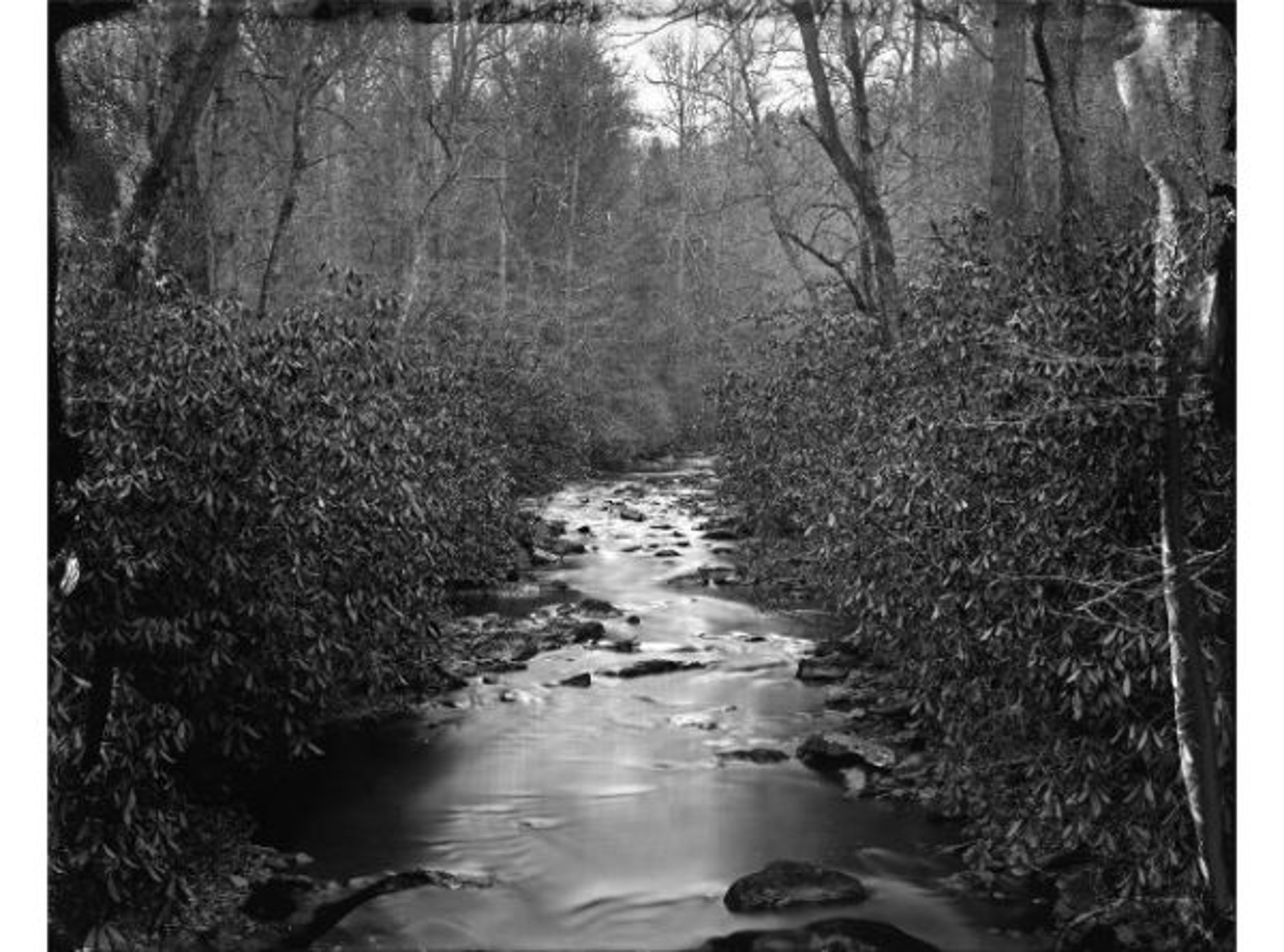 North Mills River by Ben Nixon