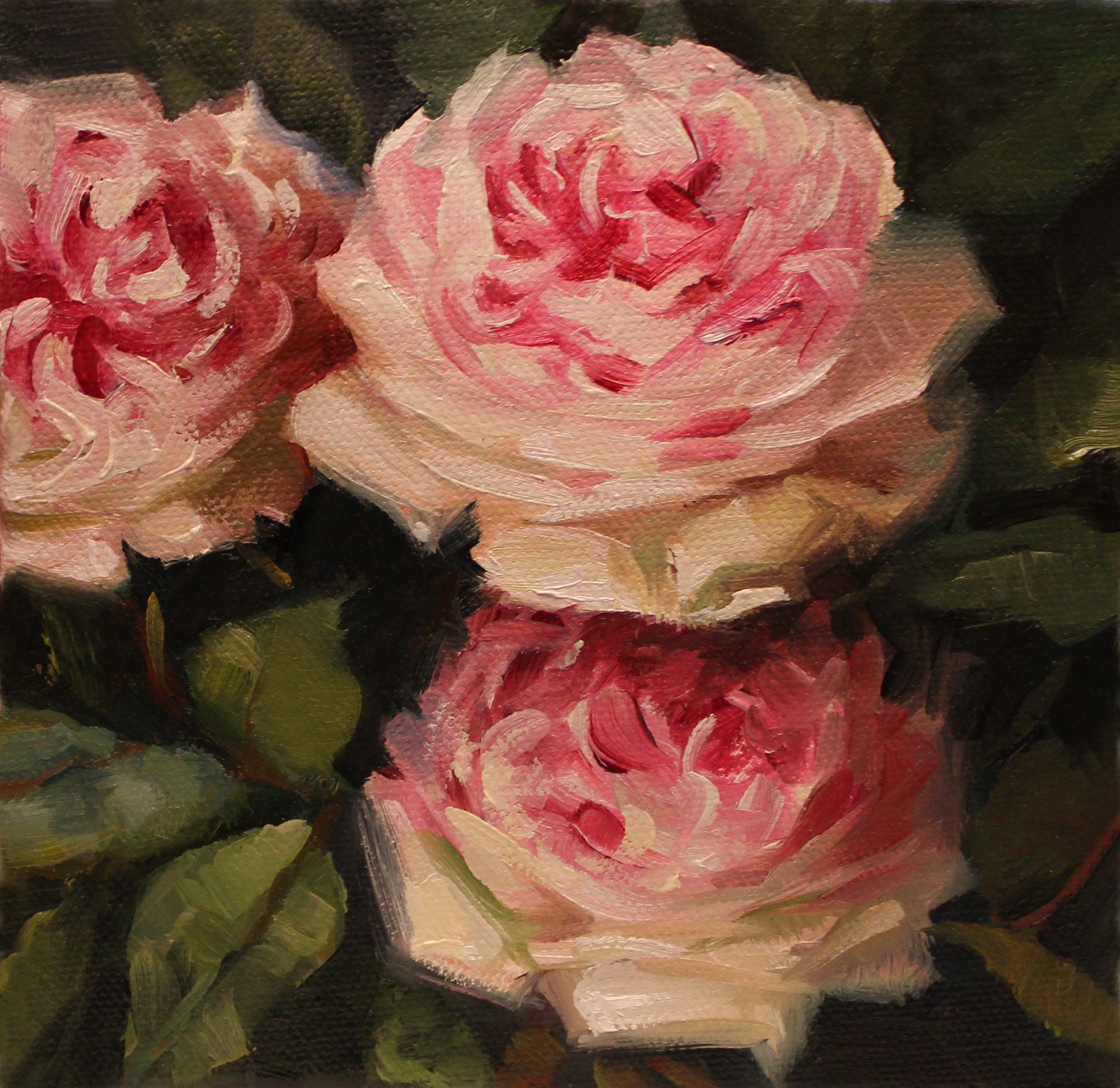 Garden Rose Trio by Carolina Elizabeth