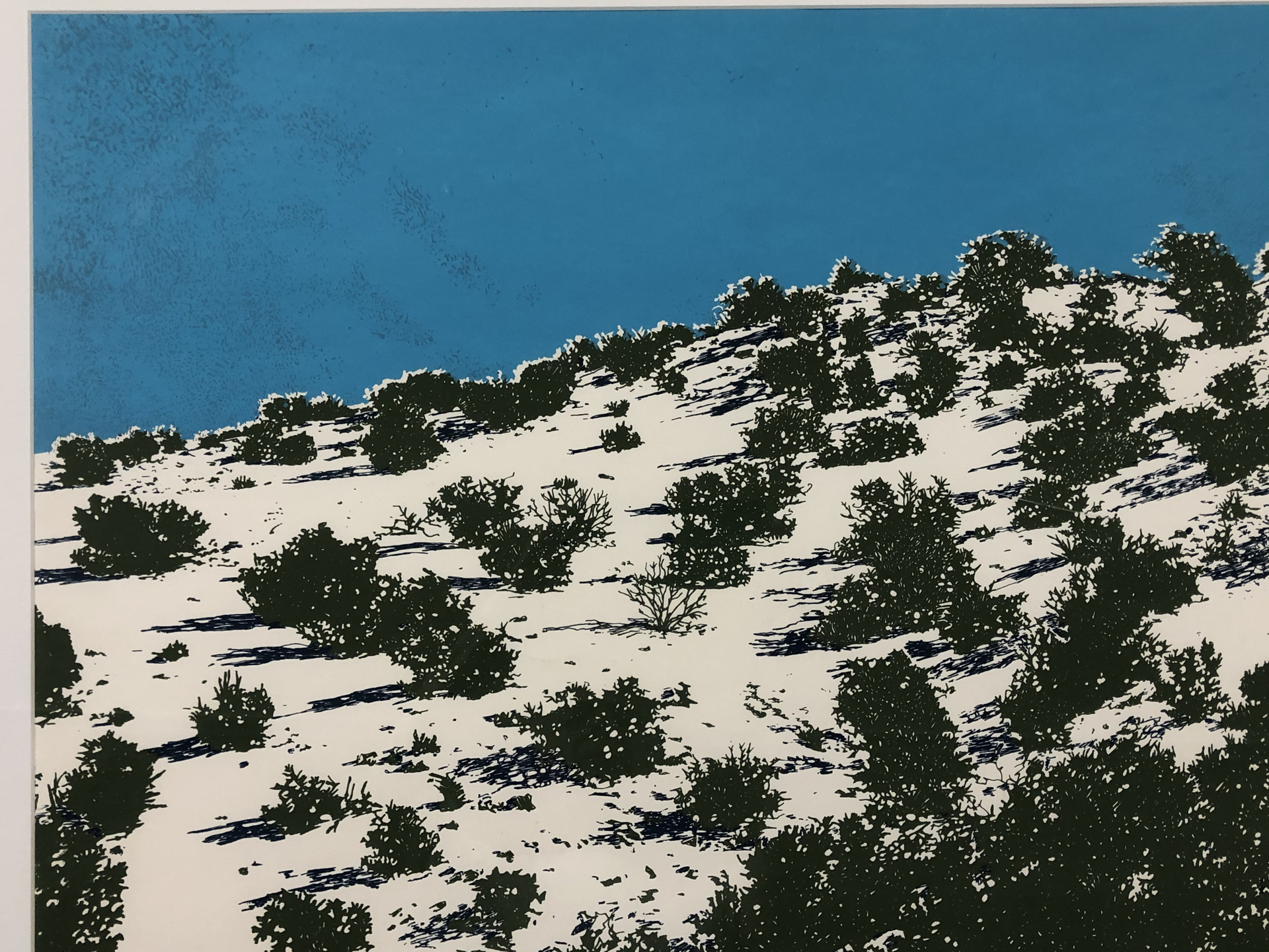 New Mexico Landscape by John Hogan
