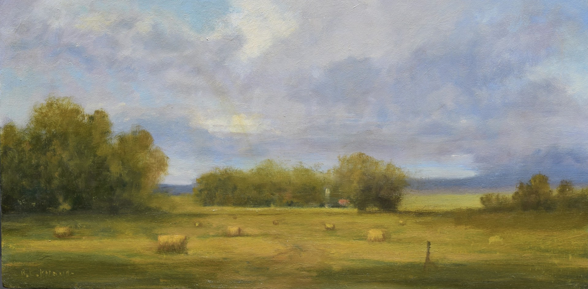 Hay Fields by Ray L. Knaub