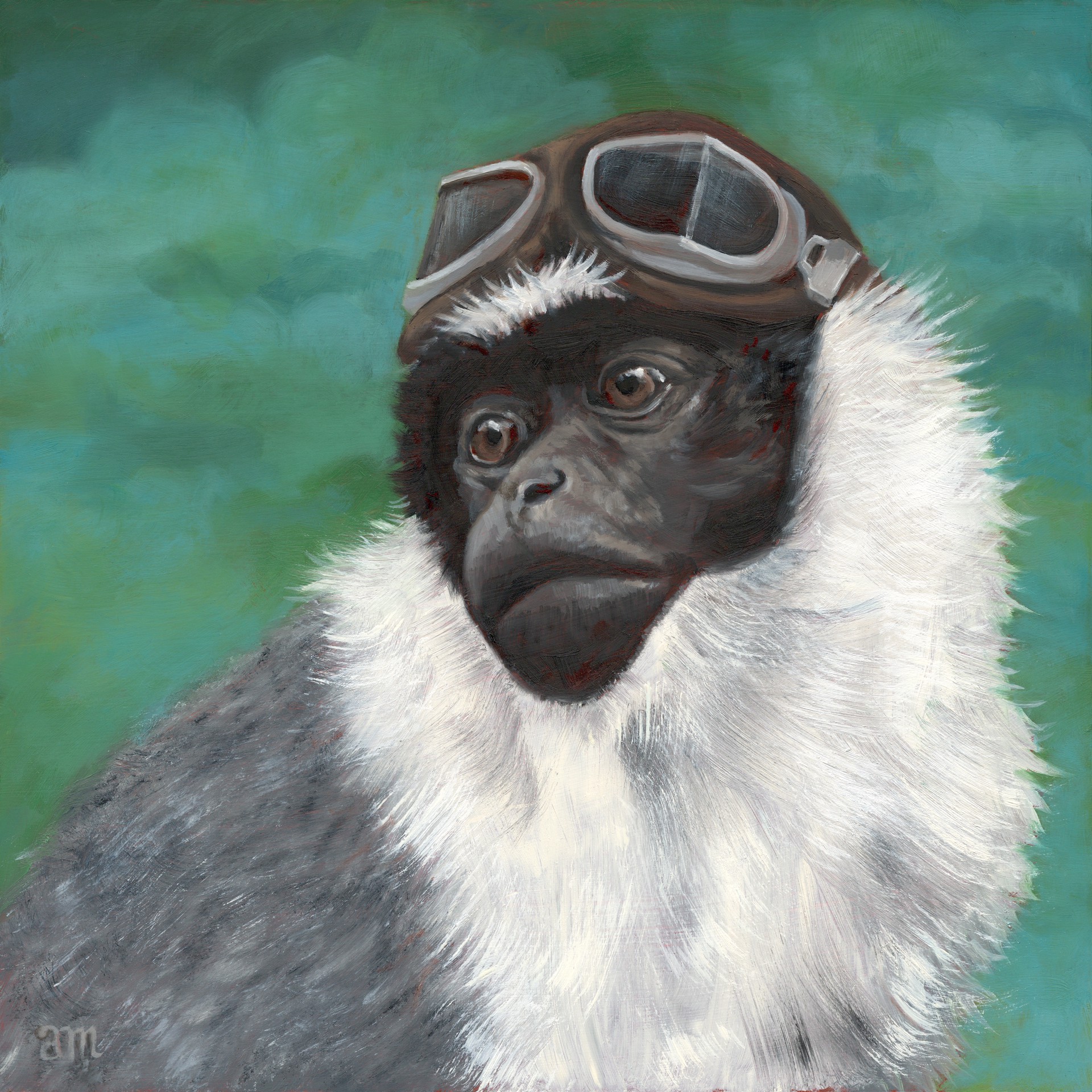 Roloway Monkey by Anna Magruder