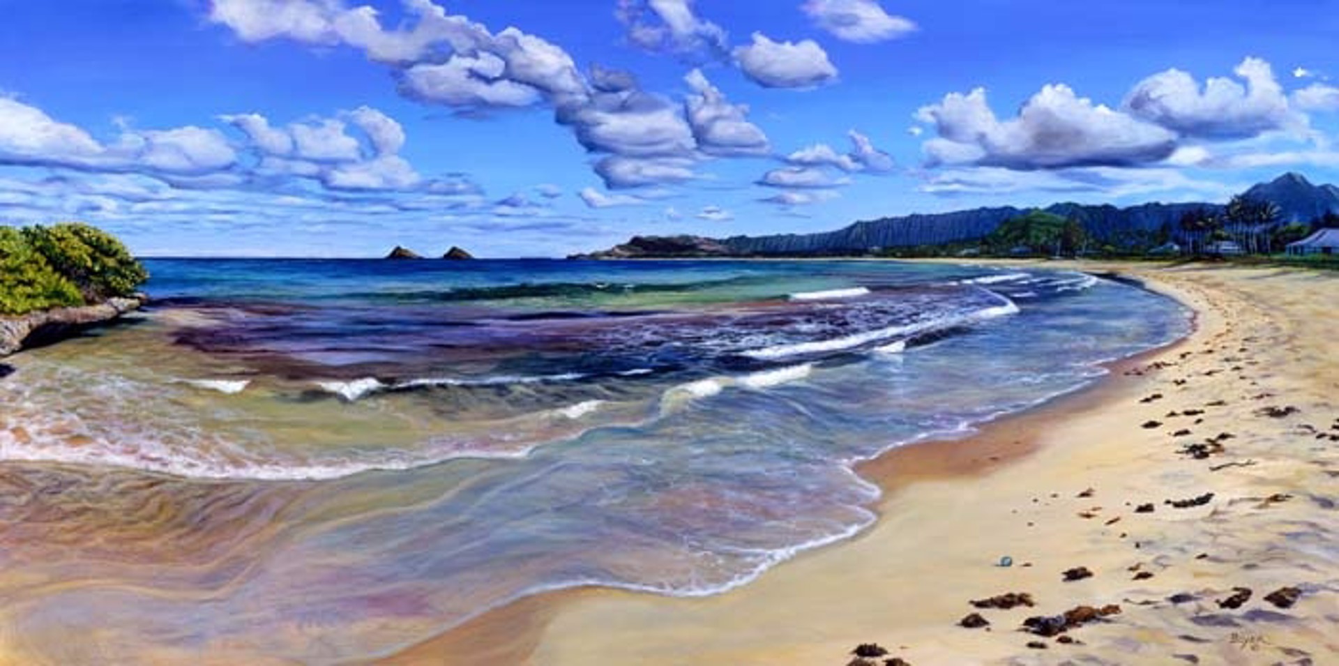 Kailua Bay Treasure by Lynne Boyer