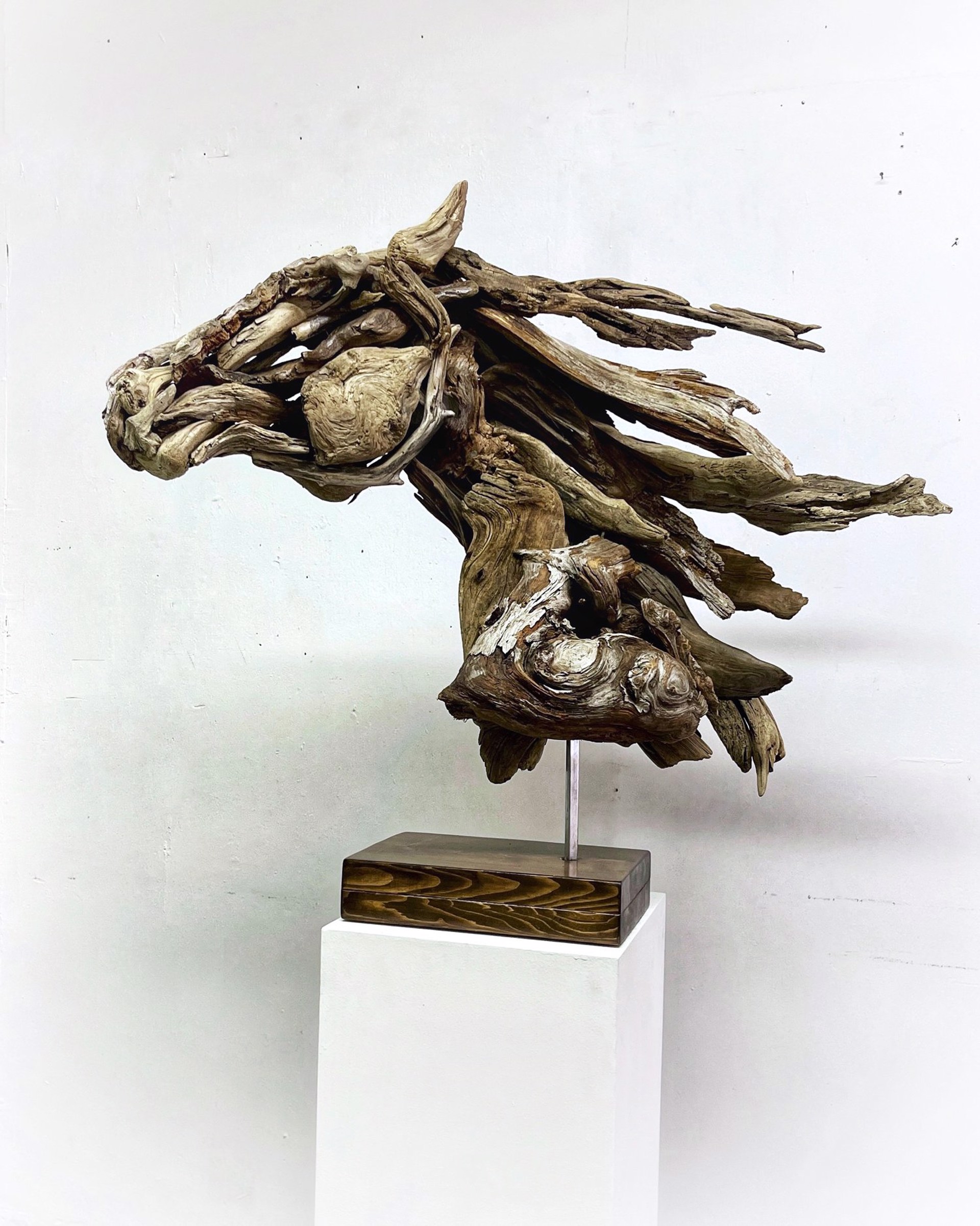 Stallion by Dalyn Berryman