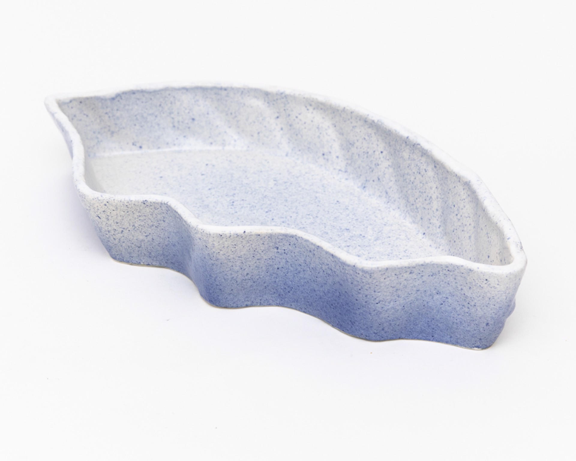 Seashell Bowl by Valentina Garcia