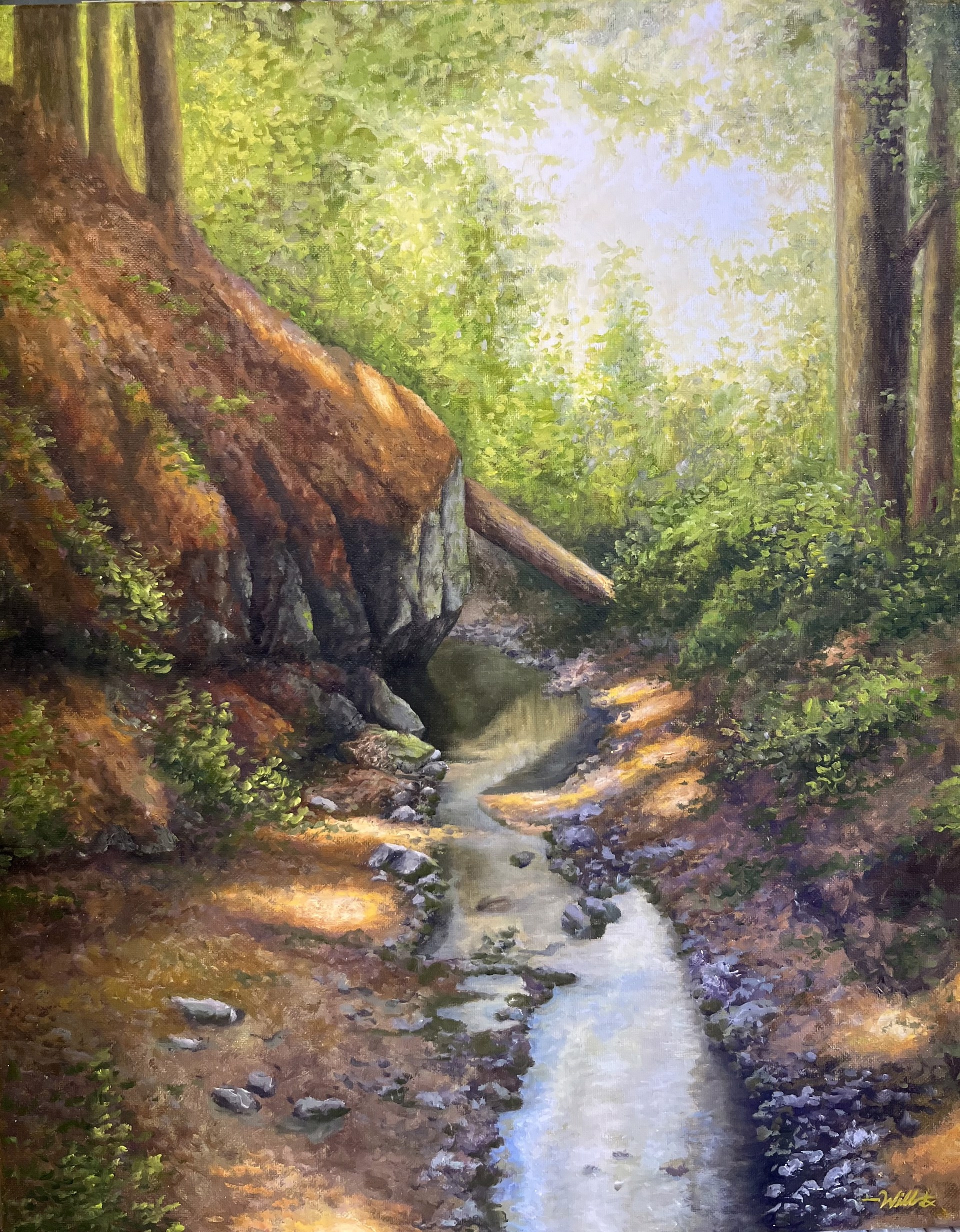 Muir Woods by William Lipscomb