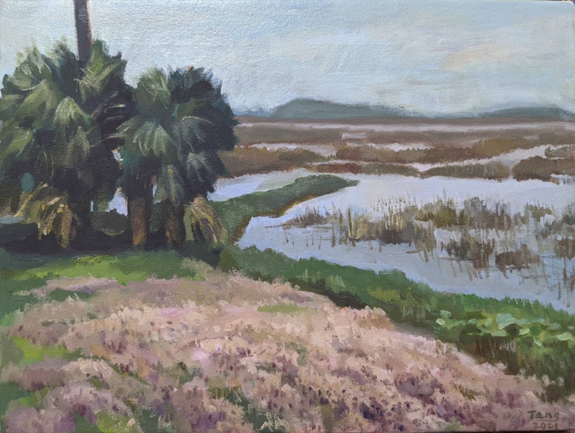 landscape in Savannah by Ziyue Tang