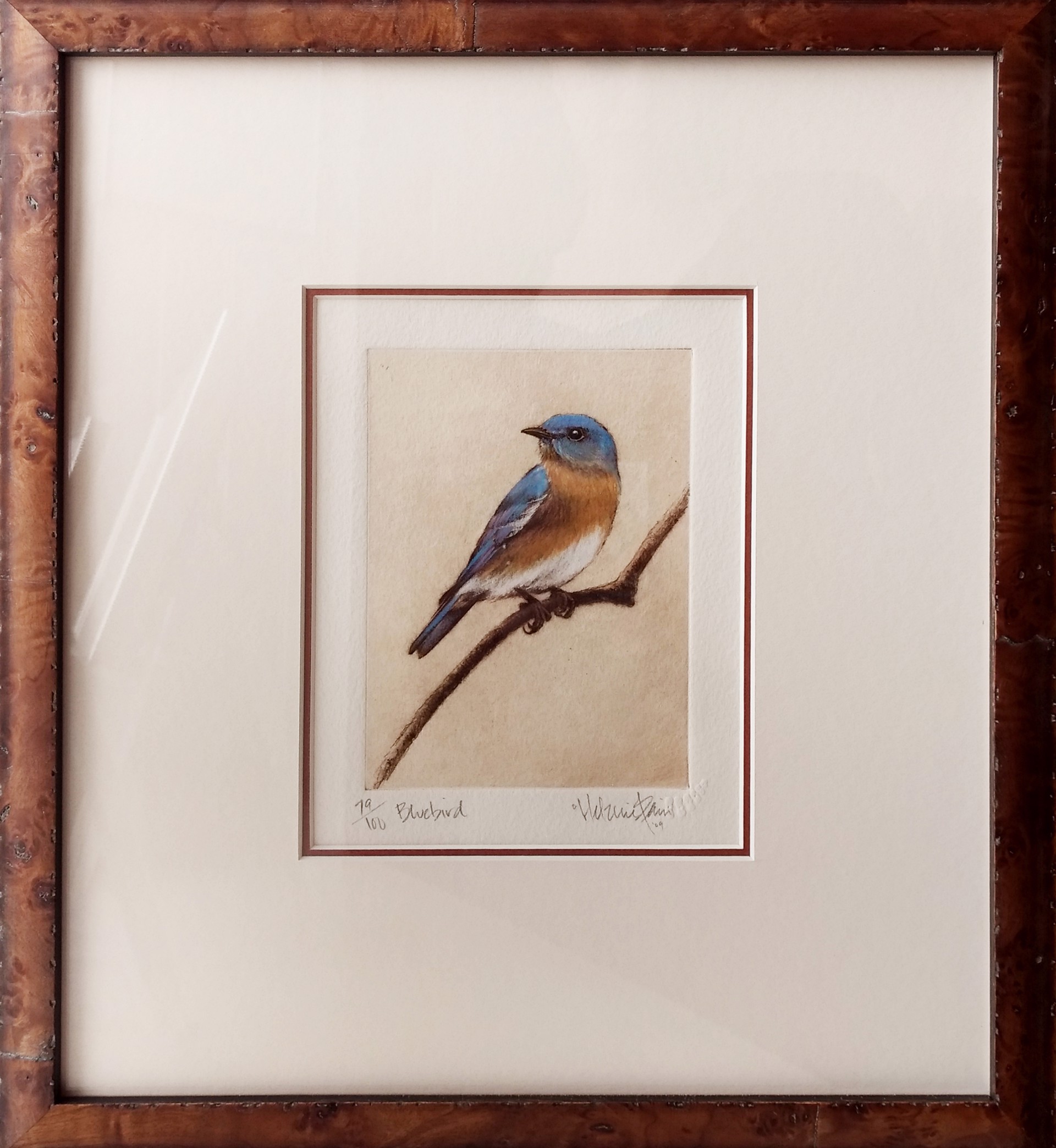 Bluebird, 92/100_F by Melanie Fain