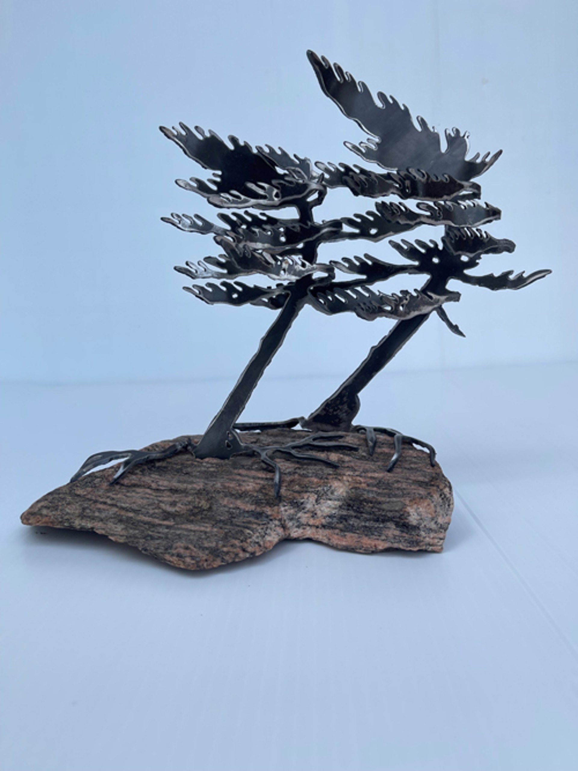 Two Tree Rock by Cathy Mark