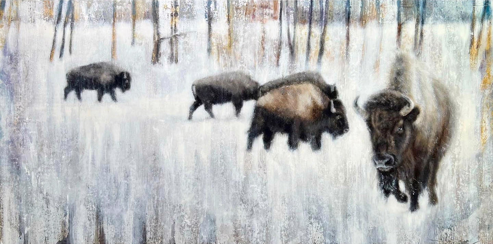A Horizontal Painting of A Small Bison Herd In Wooded Area White Gray Background
