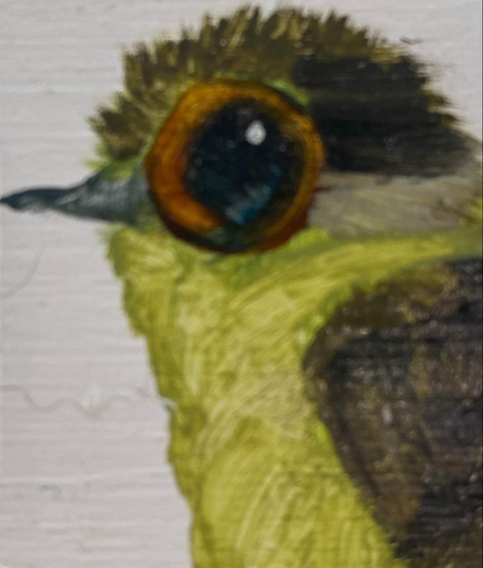 Tiny Bird Block by Diane Kilgore Condon