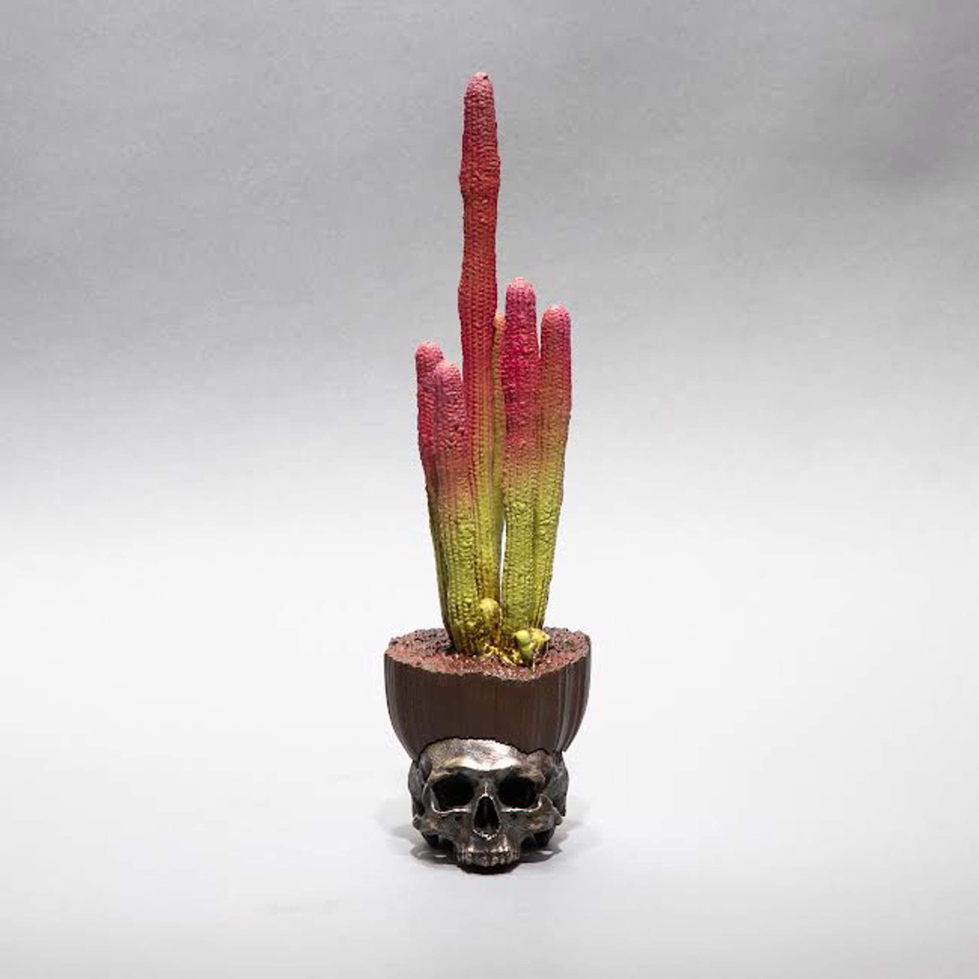 "Cactus Skull 5" by Dana Younger