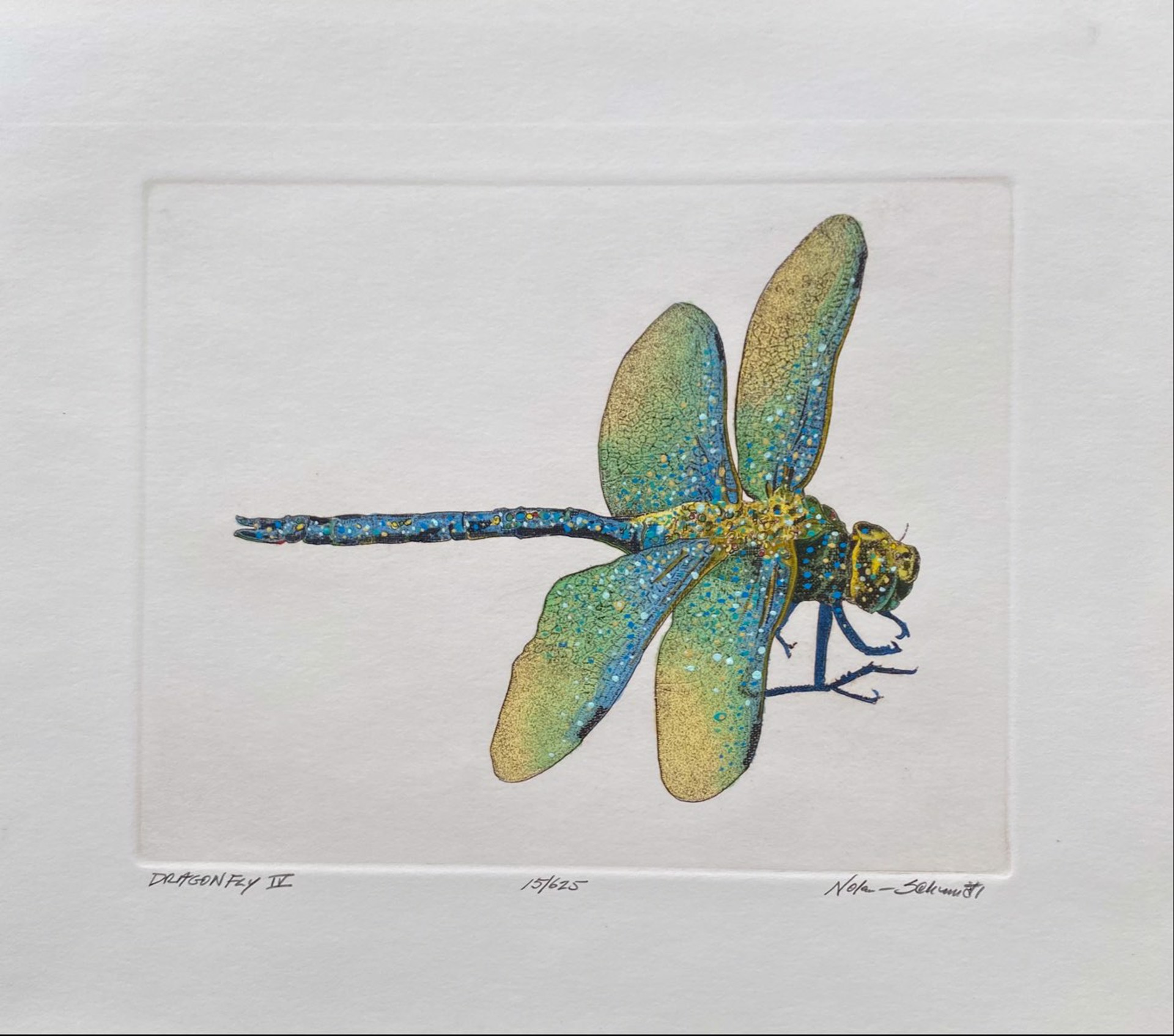 Dragonfly IV  15/625 by William Nolen-Schmidt