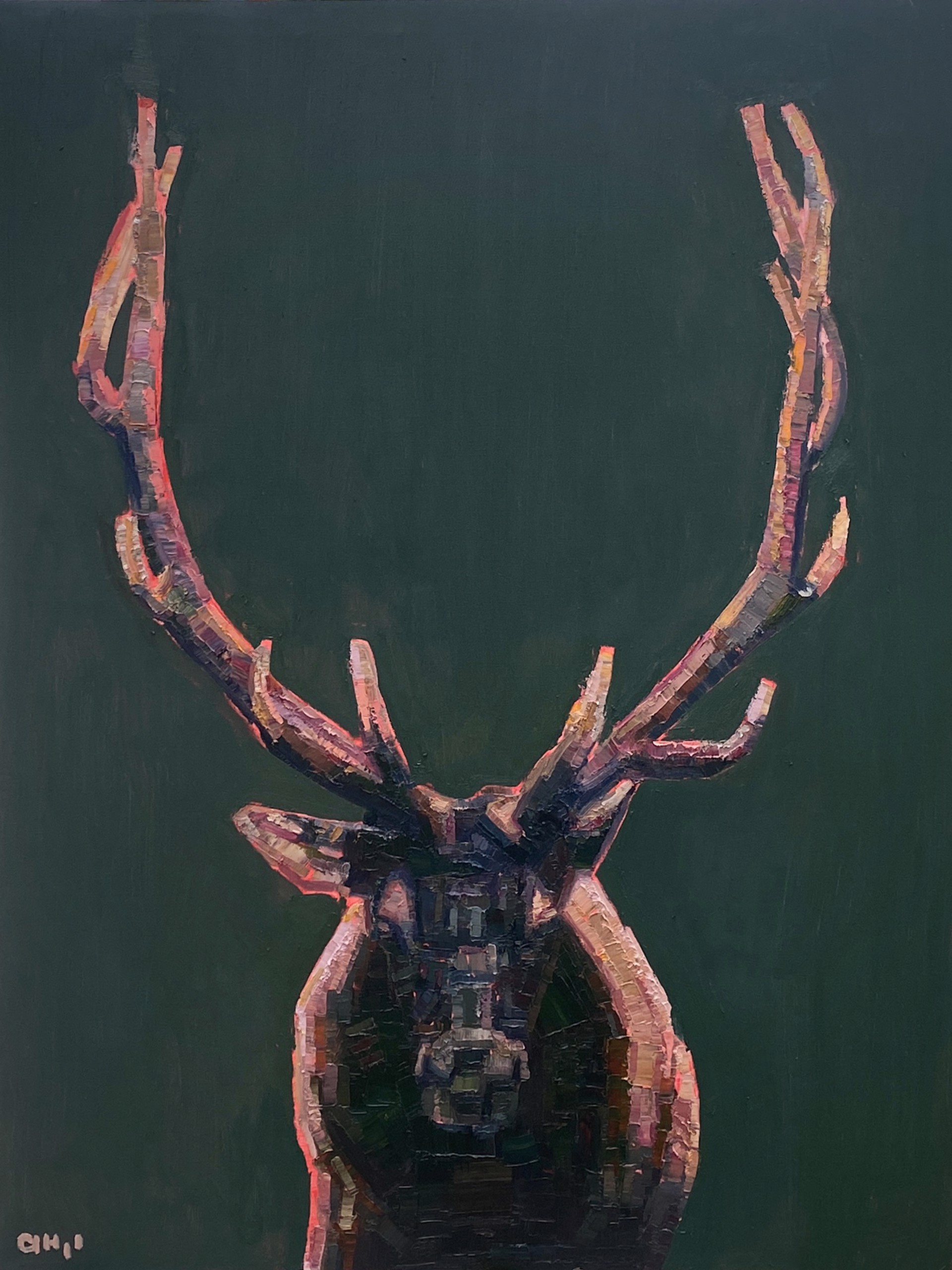 Daunte by Aaron Hazel
